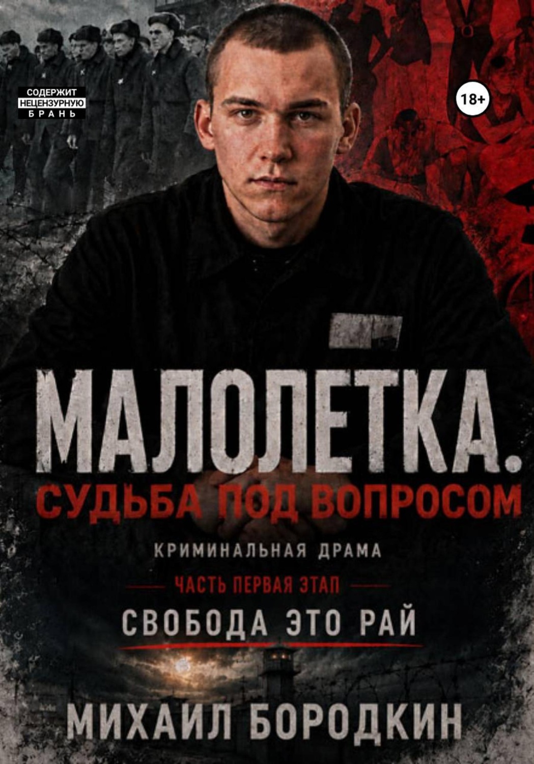 Обложка книги «Малолетка*. Судьба под вопросом»