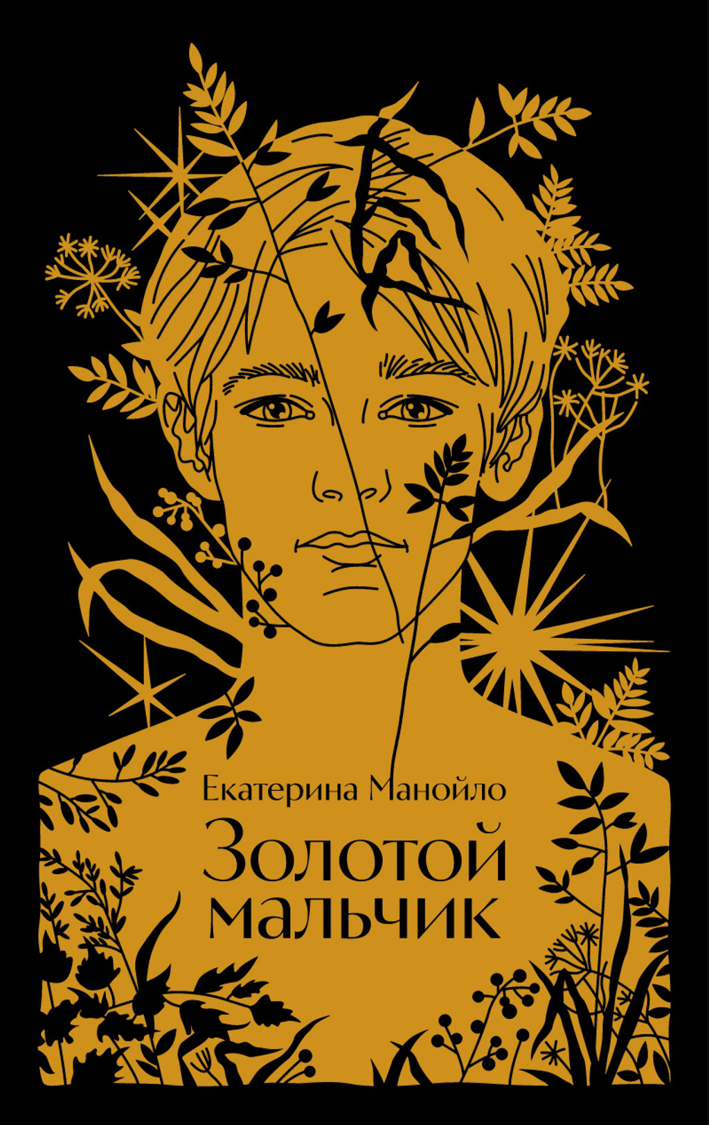 Обложка книги «Золотой мальчик»