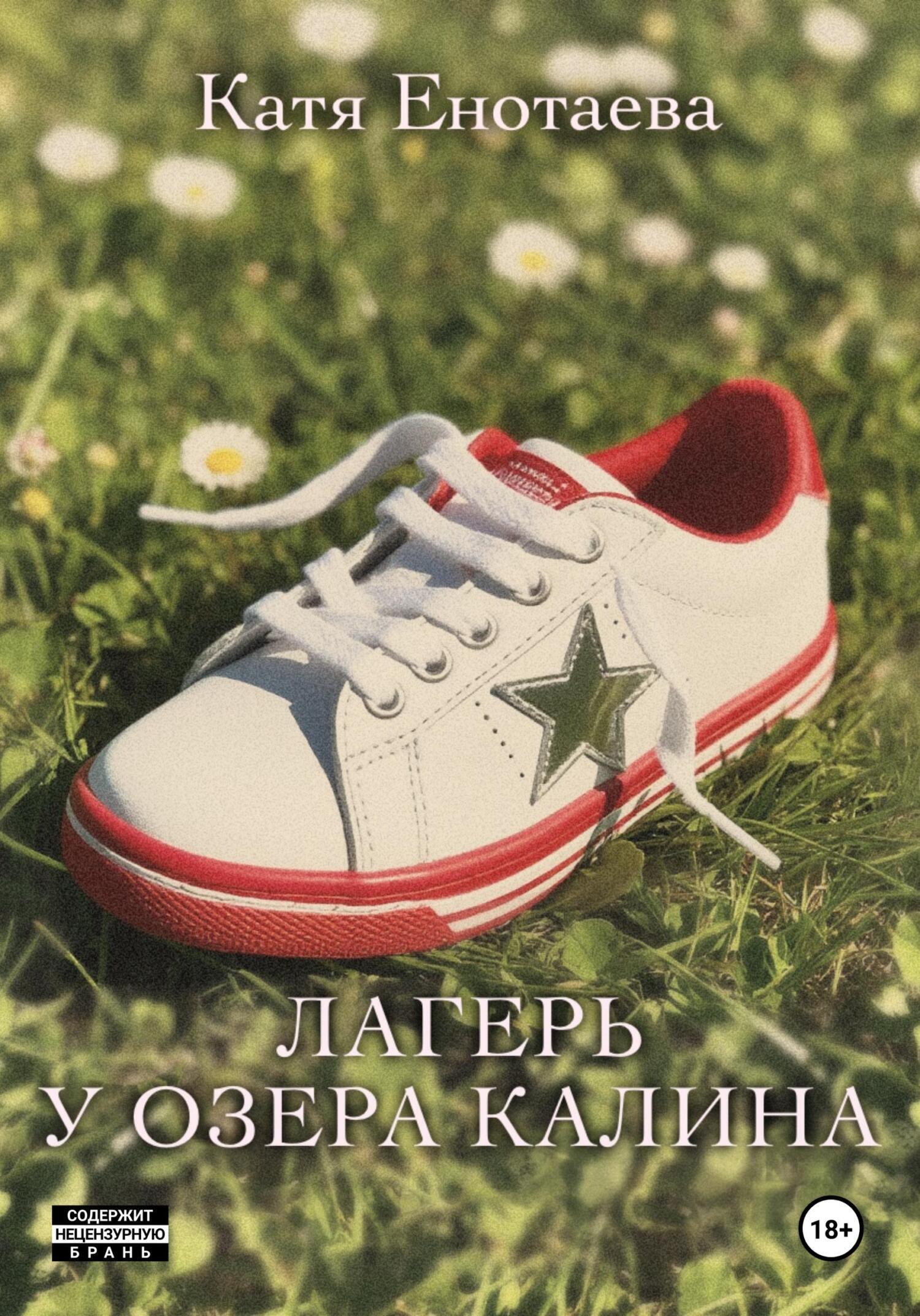 Обложка книги «Лагерь у озера Калина»