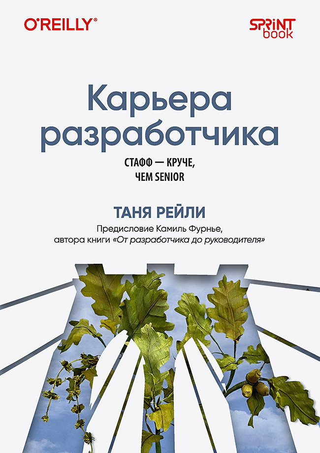 Обложка книги «Карьера разработчика. Стафф – круче, чем senior»