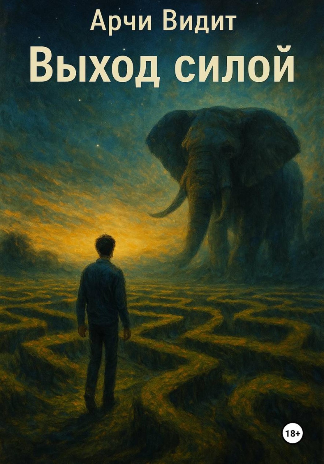 Обложка книги «Выход силой»