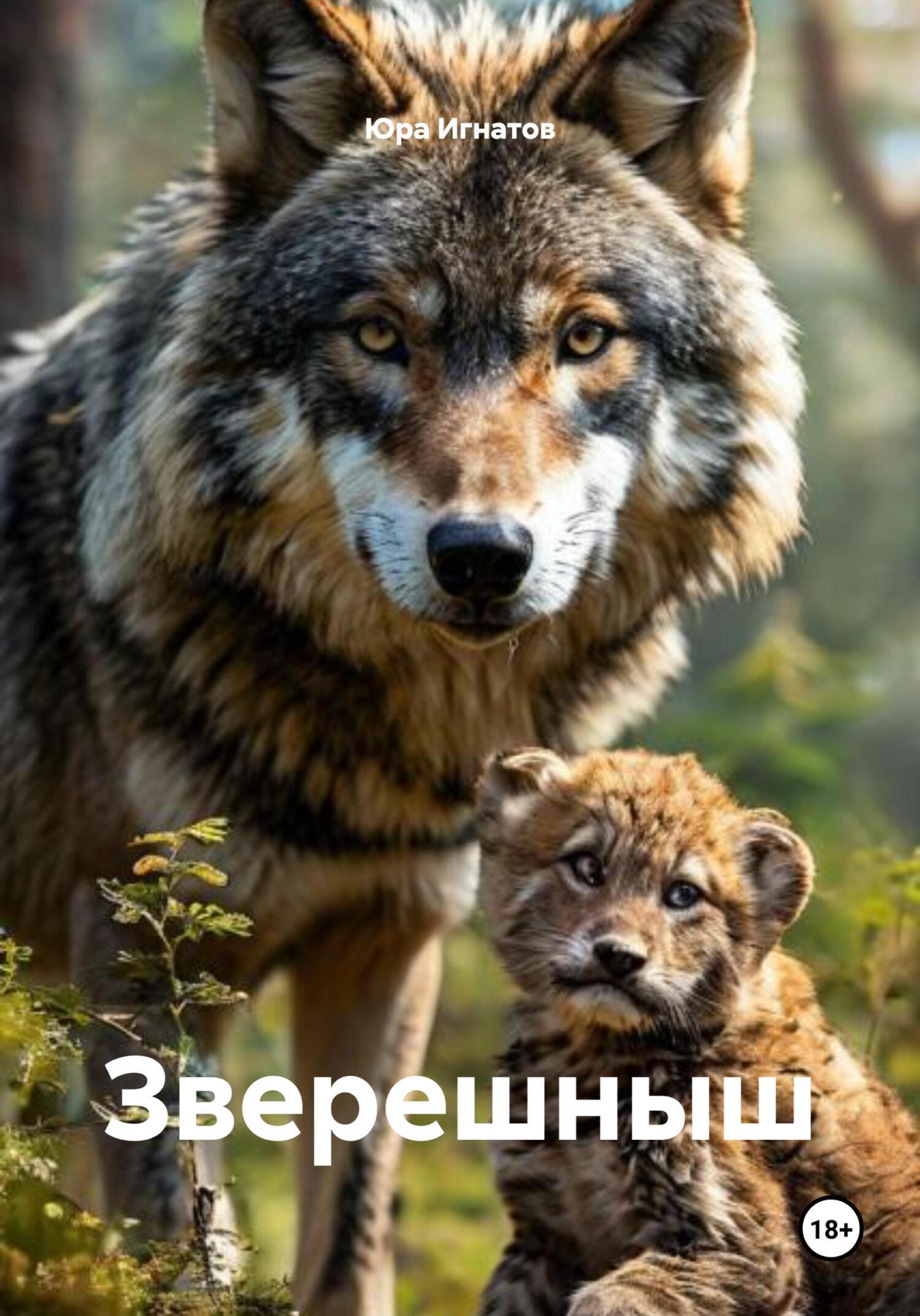 Обложка книги «Зверешныш»