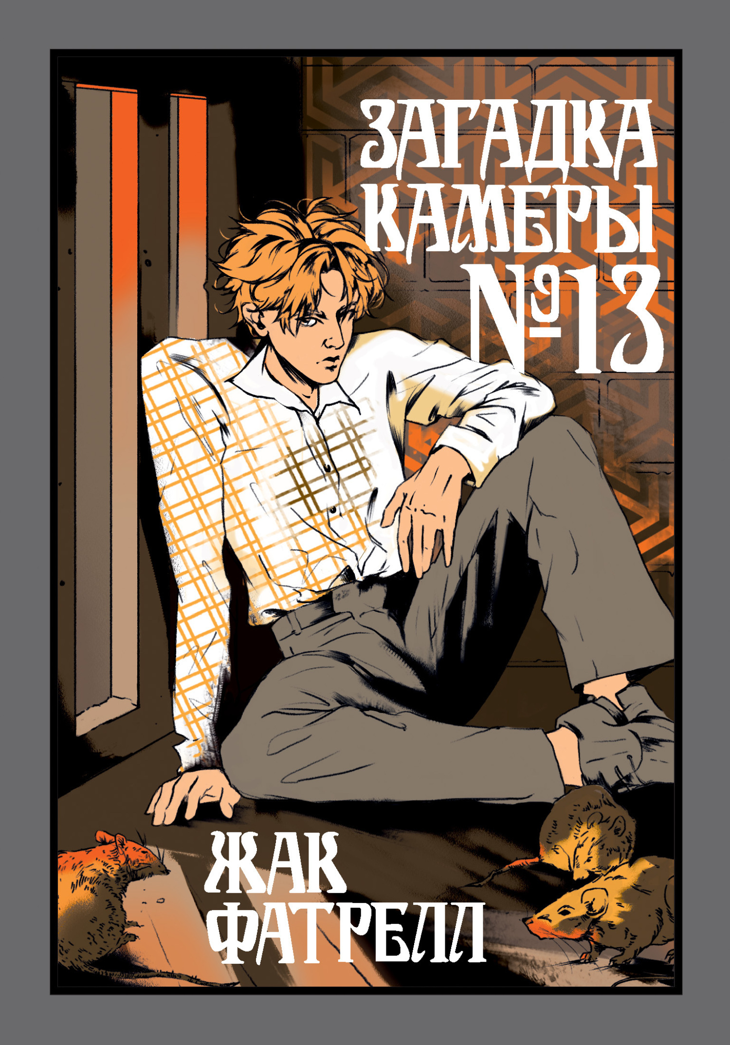 Обложка книги «Загадка камеры № 13»
