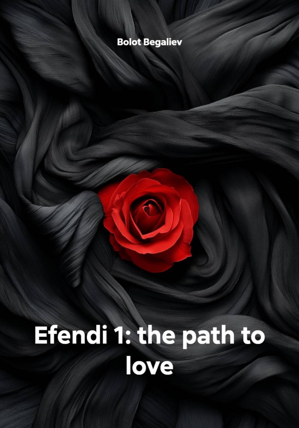 Обложка книги «Efendi 1: the path to love»