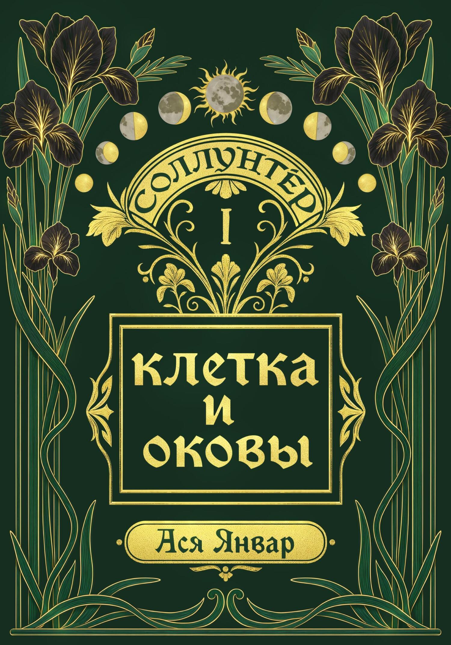 Обложка книги «Соллунтер: клетка и оковы»