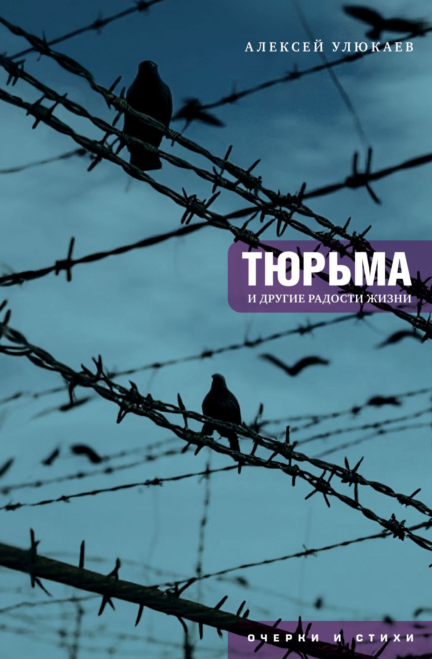 Обложка книги «Тюрьма и другие радости жизни: очерки и стихи»