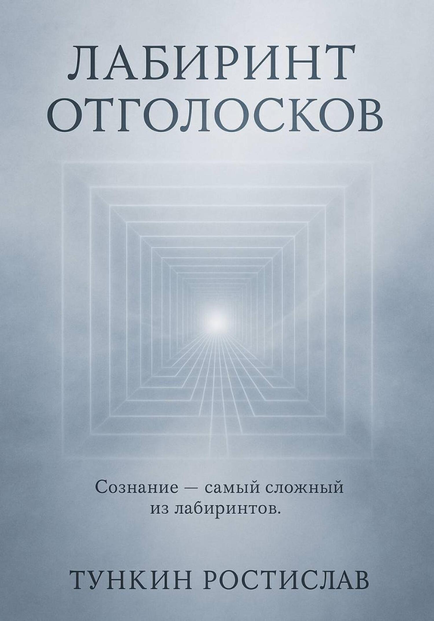 Обложка книги «Лабиринт отголосков»