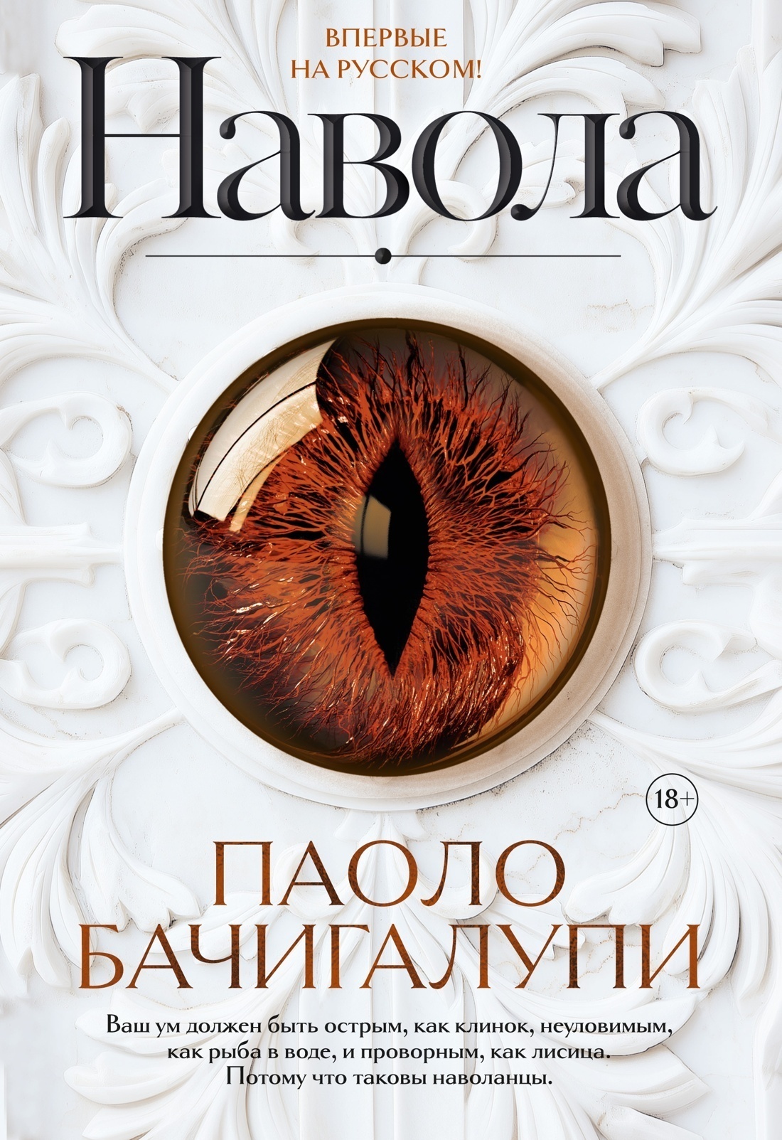 Обложка книги «Навола»