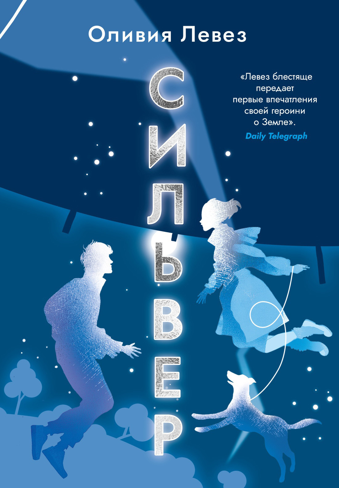 Обложка книги «Сильвер»