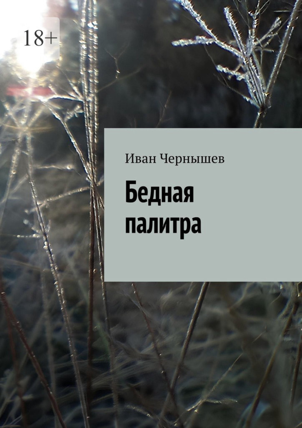 Обложка книги «Бедная палитра»