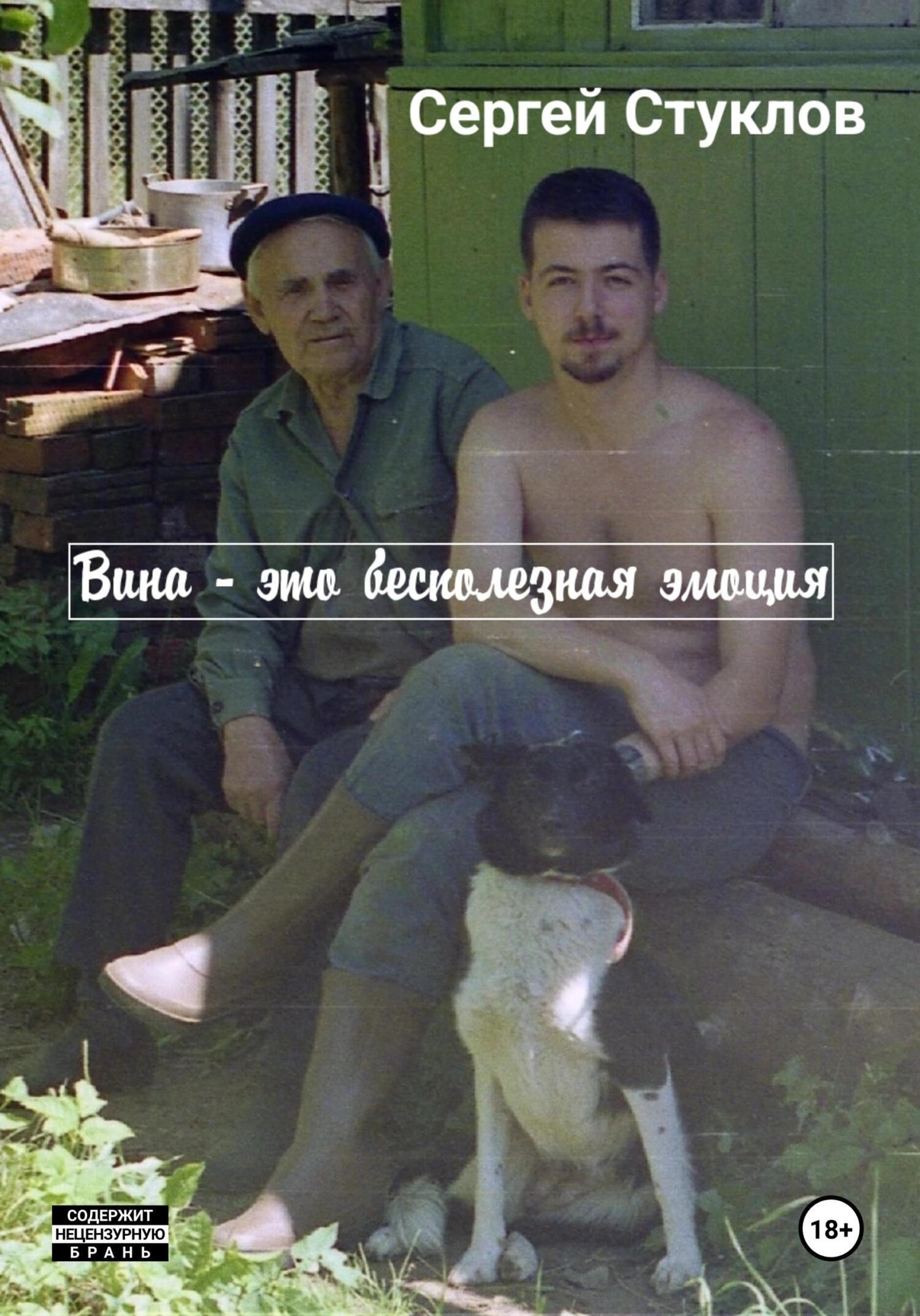 Обложка книги «Вина – это бесполезная эмоция»