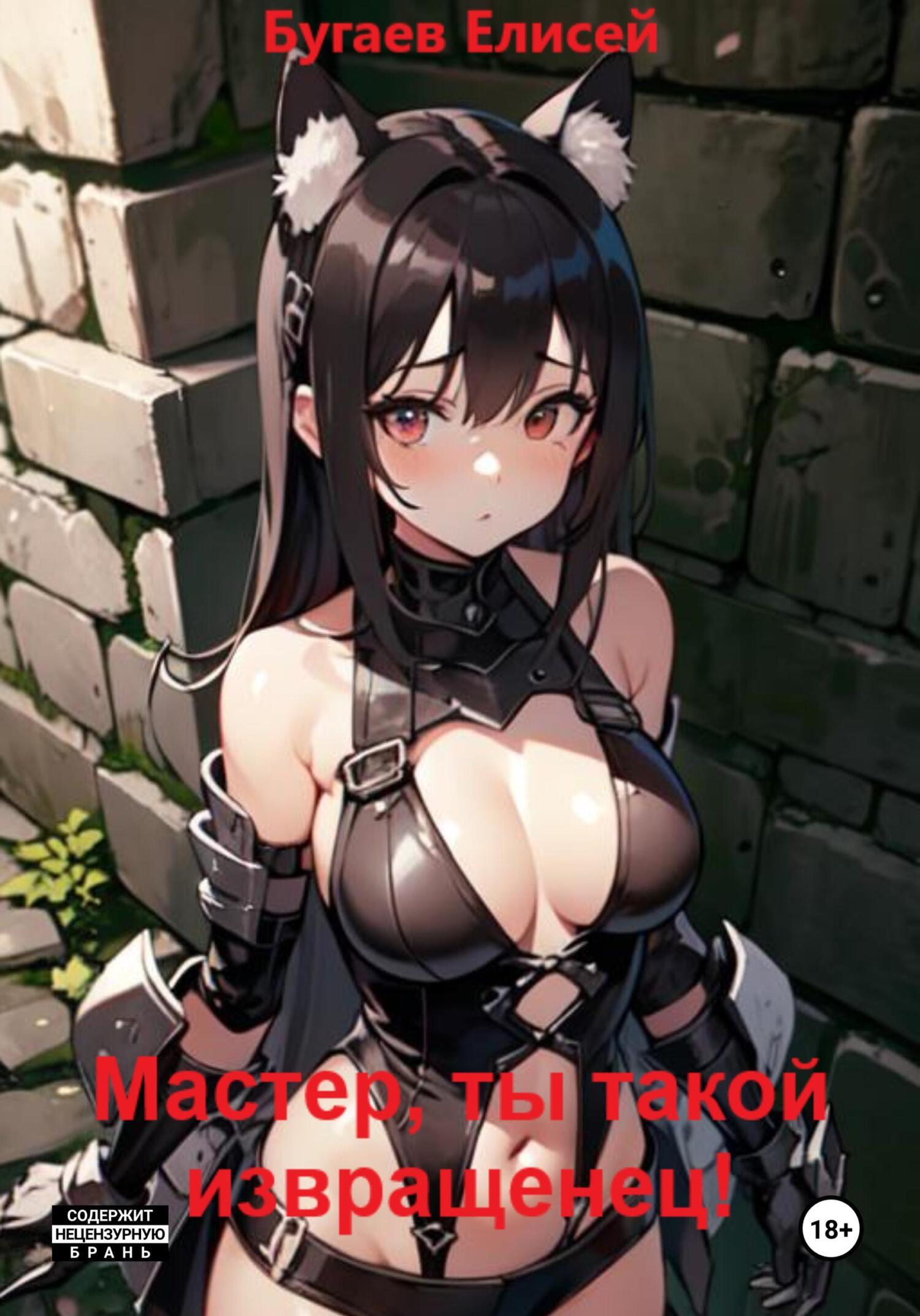 Обложка книги «Мастер, ты такой извращенец!»