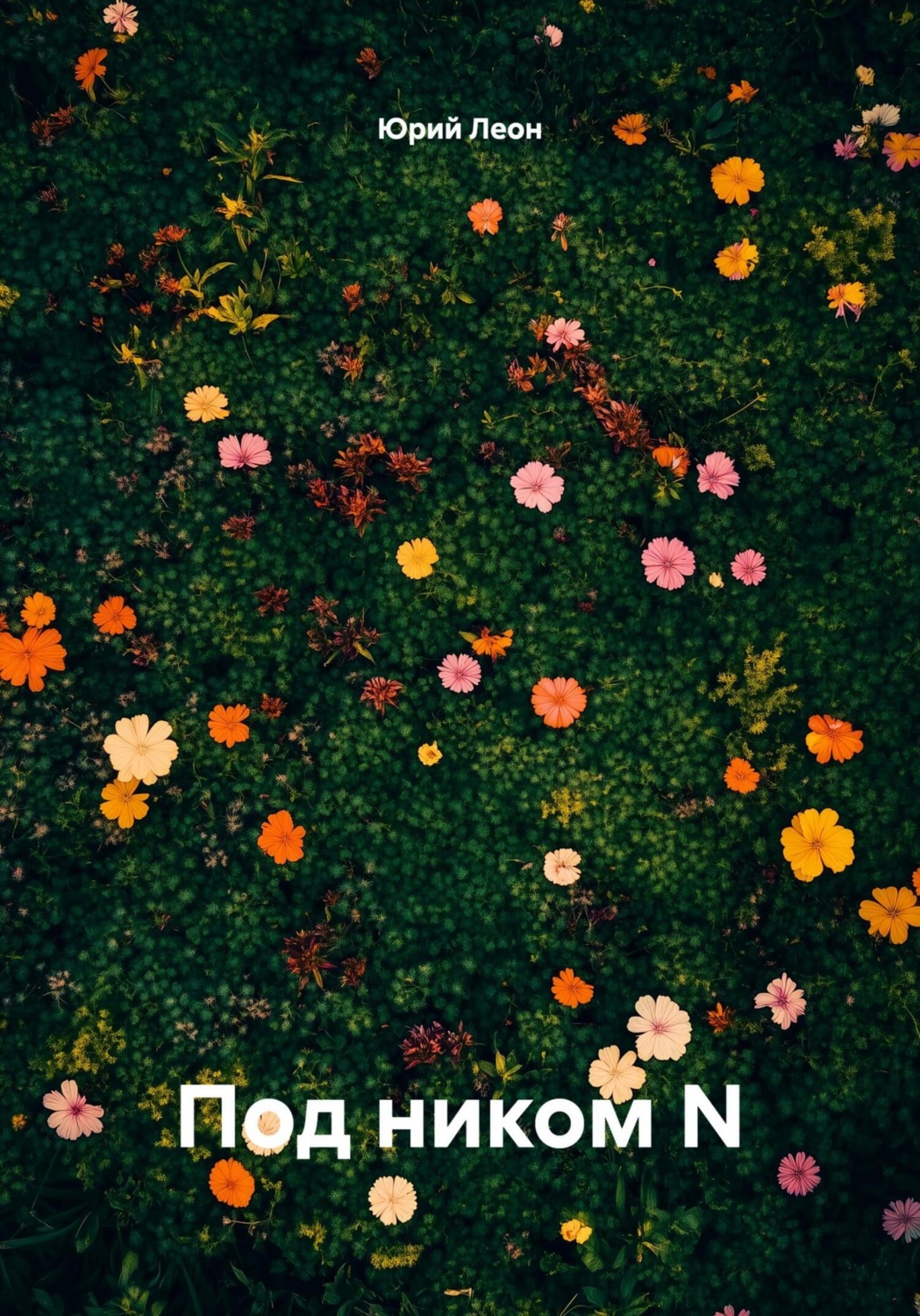 Обложка книги «Под ником N»