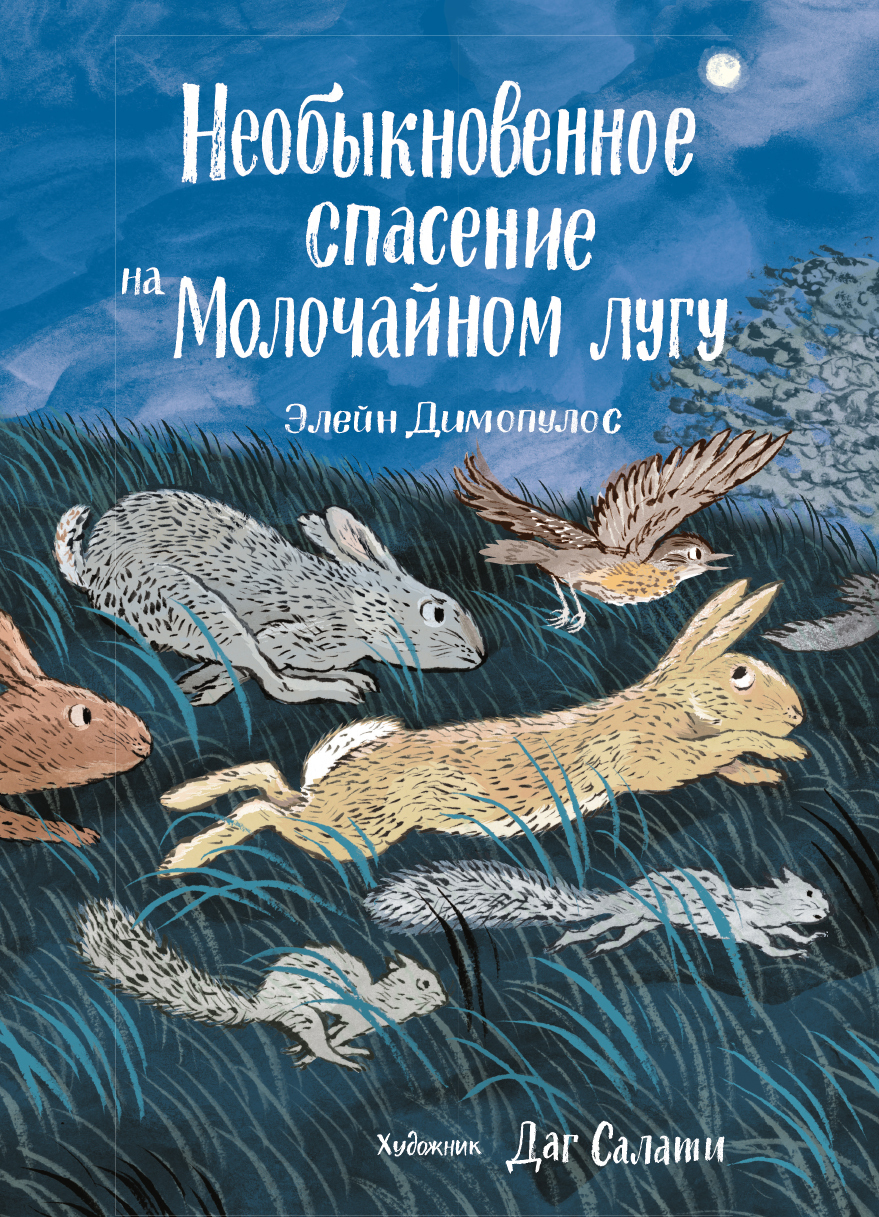 Обложка книги «Необыкновенное спасение на Молочайном лугу»