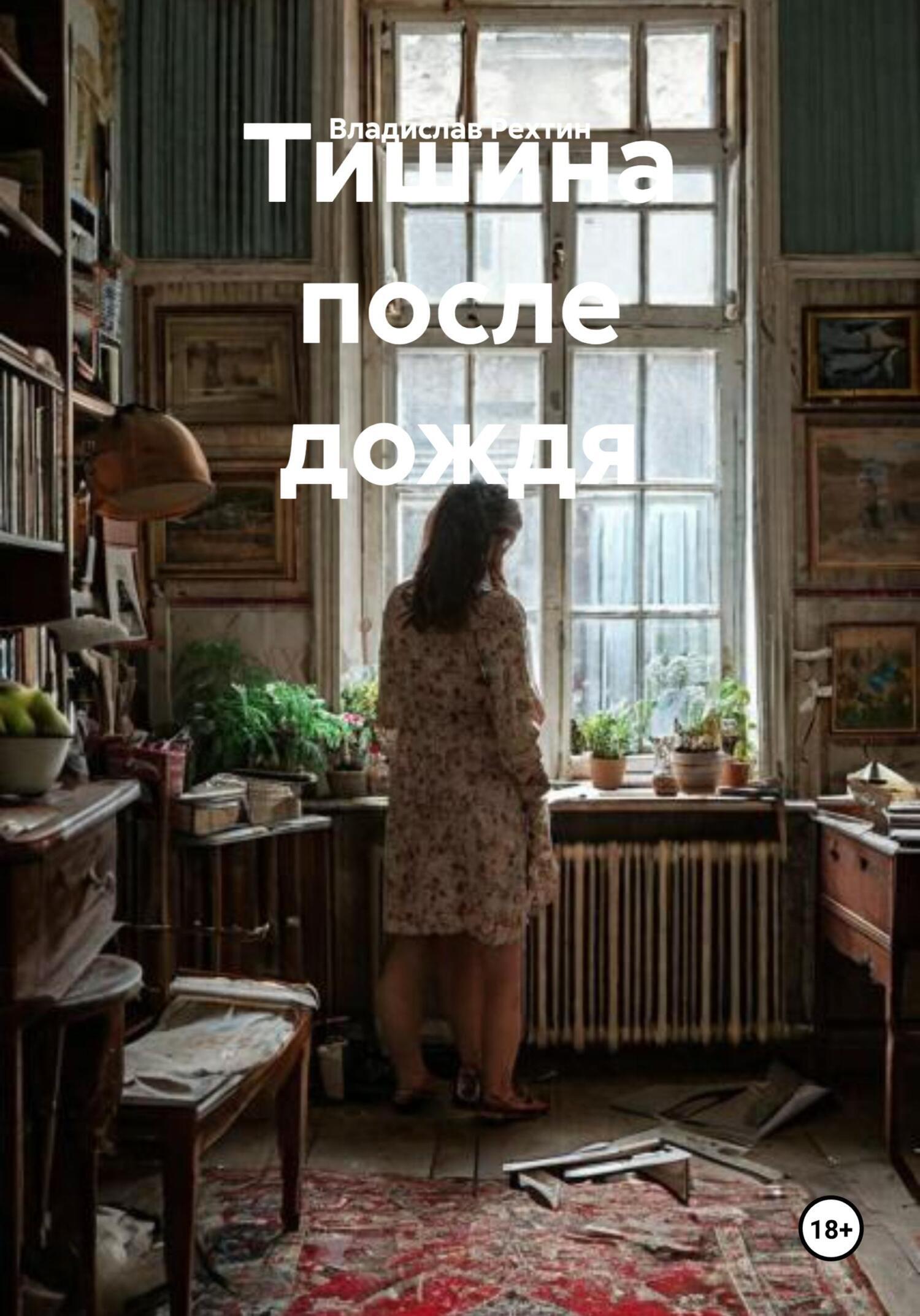 Обложка книги «Тишина после дождя»
