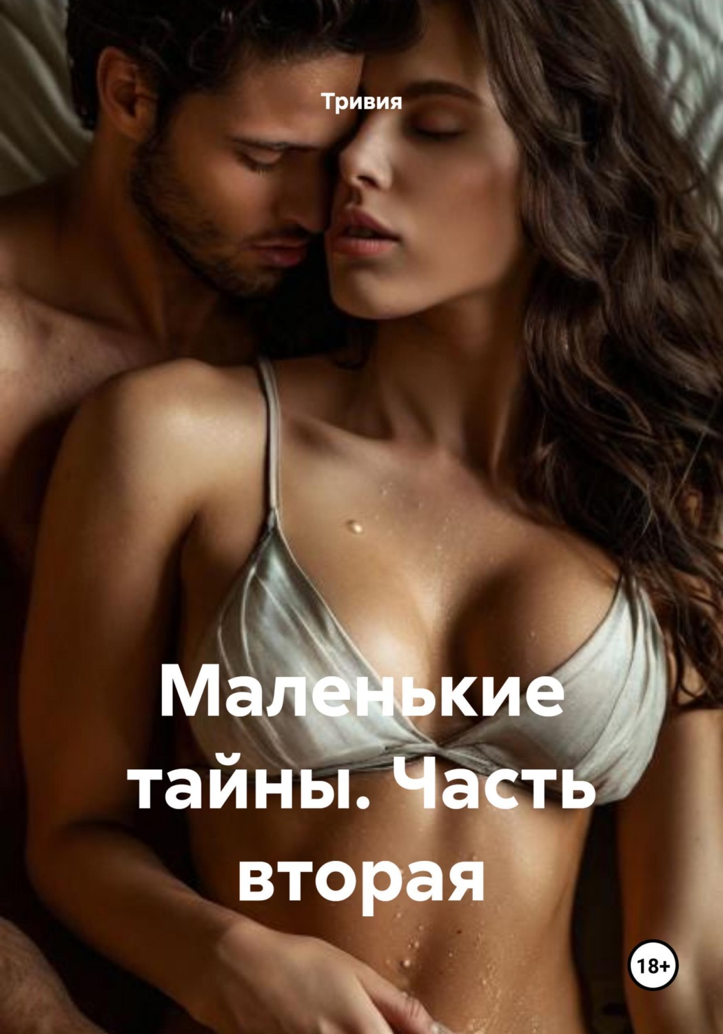 Обложка книги «Маленькие тайны. Часть вторая»
