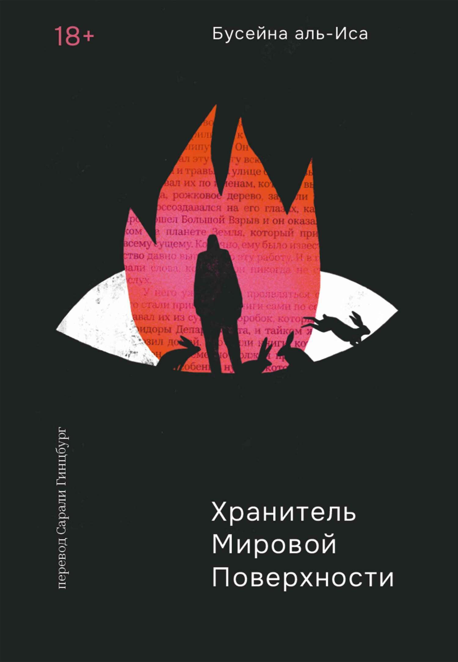 Обложка книги «Хранитель мировой поверхности»