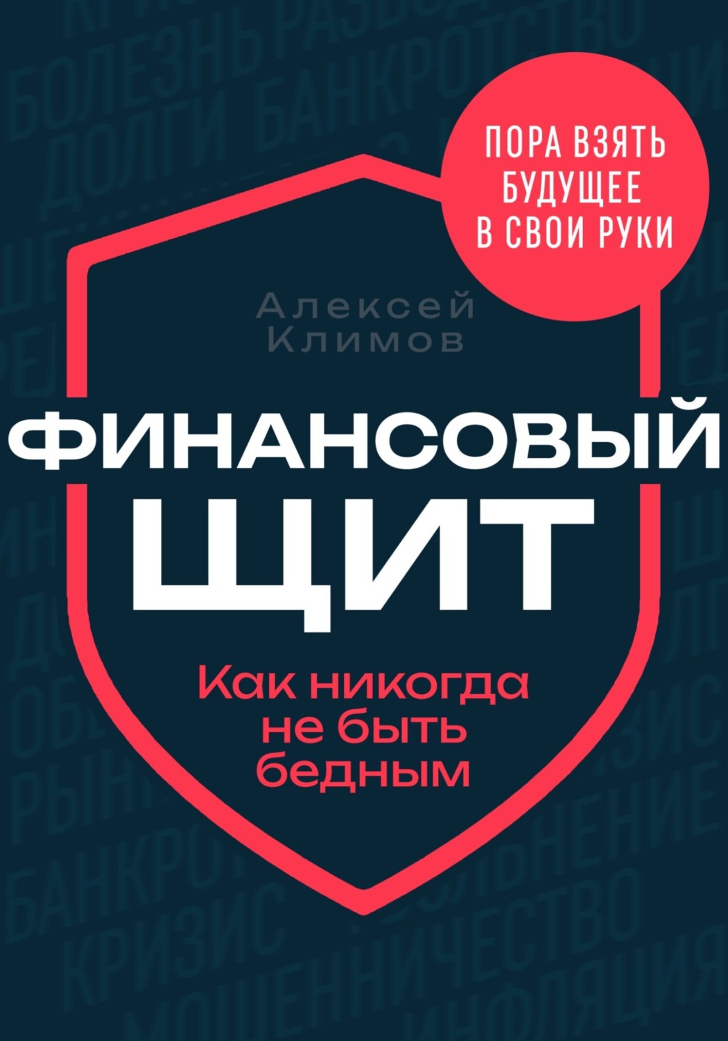 Обложка книги «Финансовый щит»