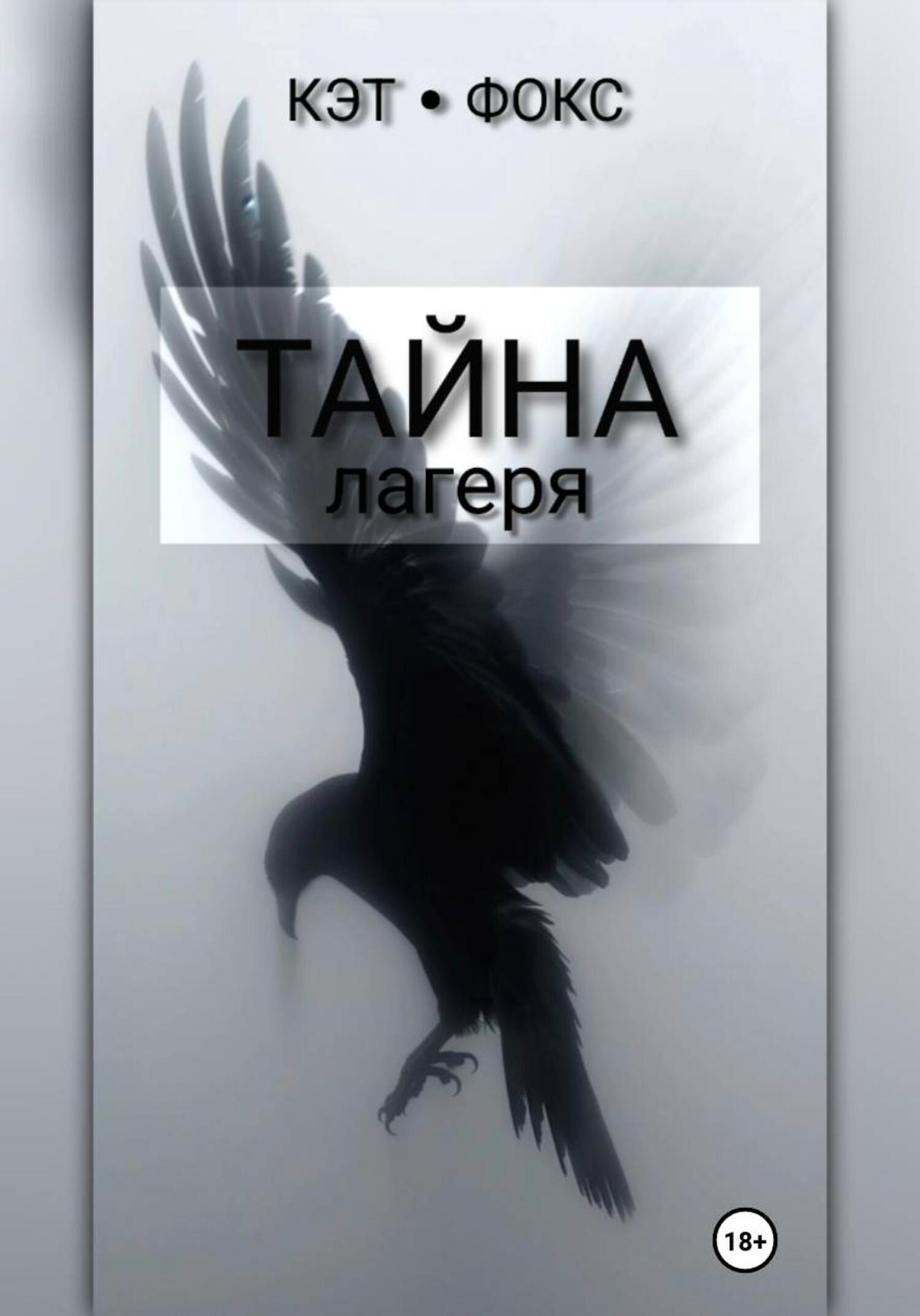 Обложка книги «Тайна лагеря»