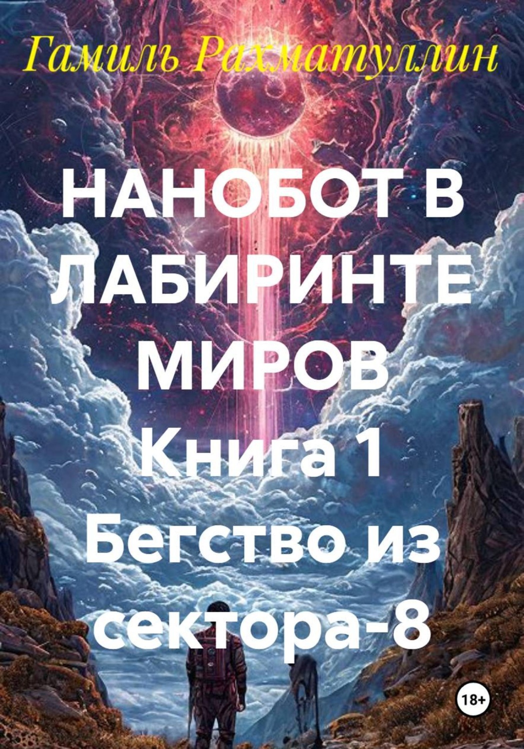Обложка книги «НАНОБОТ В ЛАБИРИНТЕ МИРОВ Книга 1 Бегство из сектора-8»