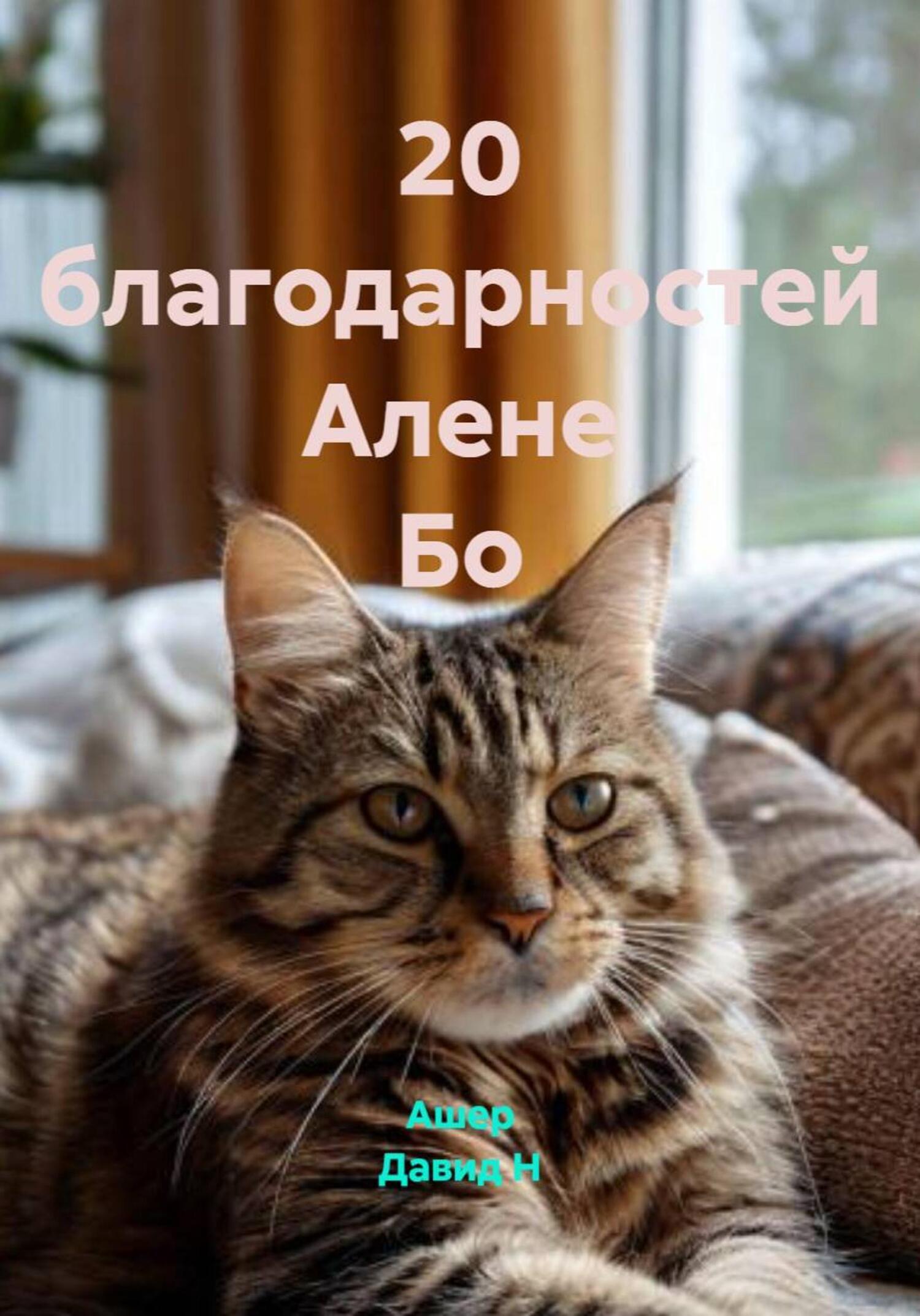 Обложка книги «20 благодарностей Алене Бо»