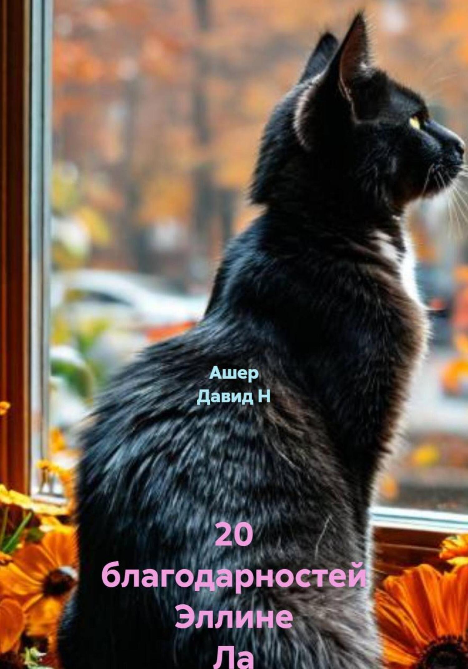 Обложка книги «20 благодарностей Эллине Ла»