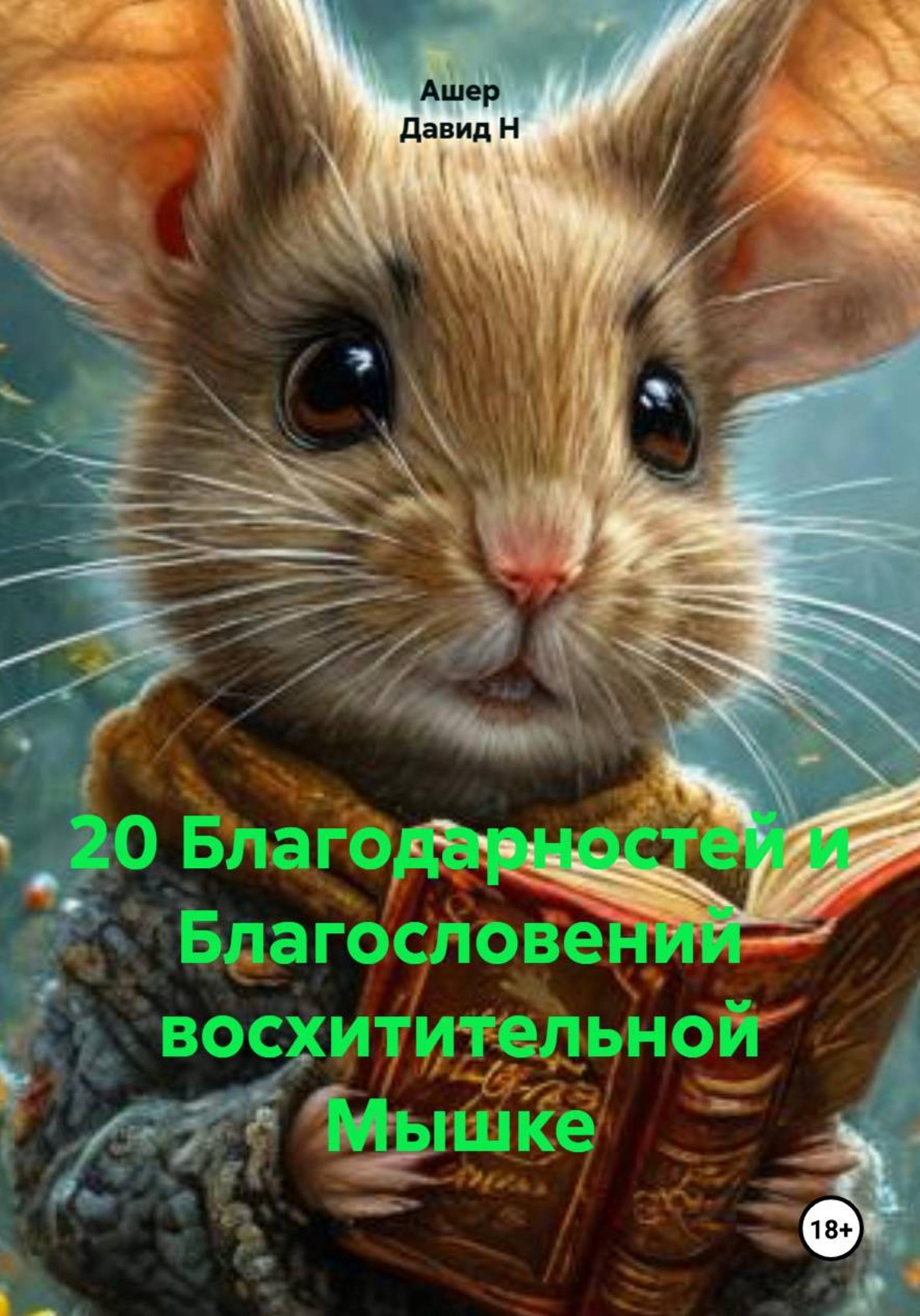 Обложка книги «20 благодарностей восхитительной Мышке»