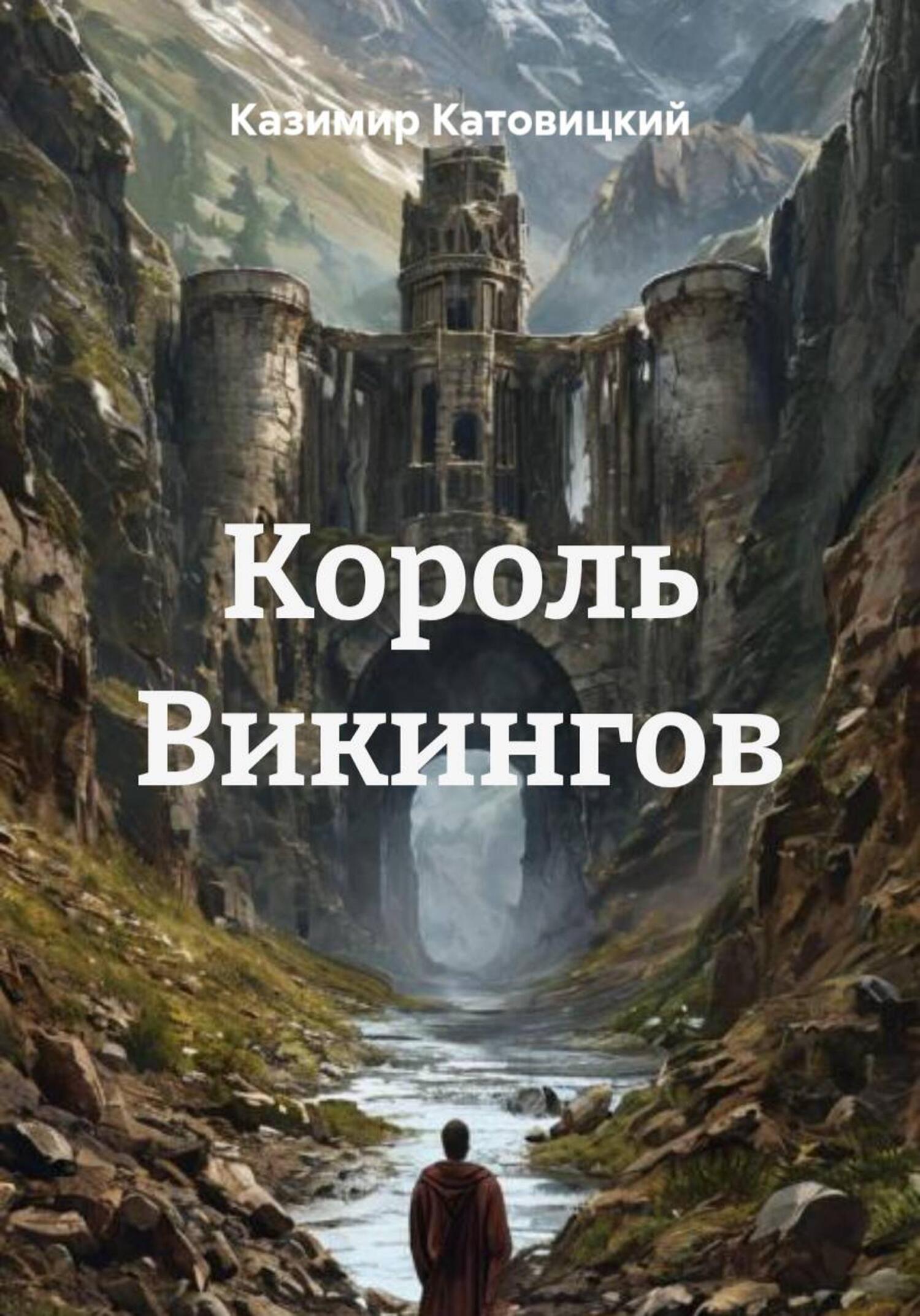 Обложка книги «Король Викингов»