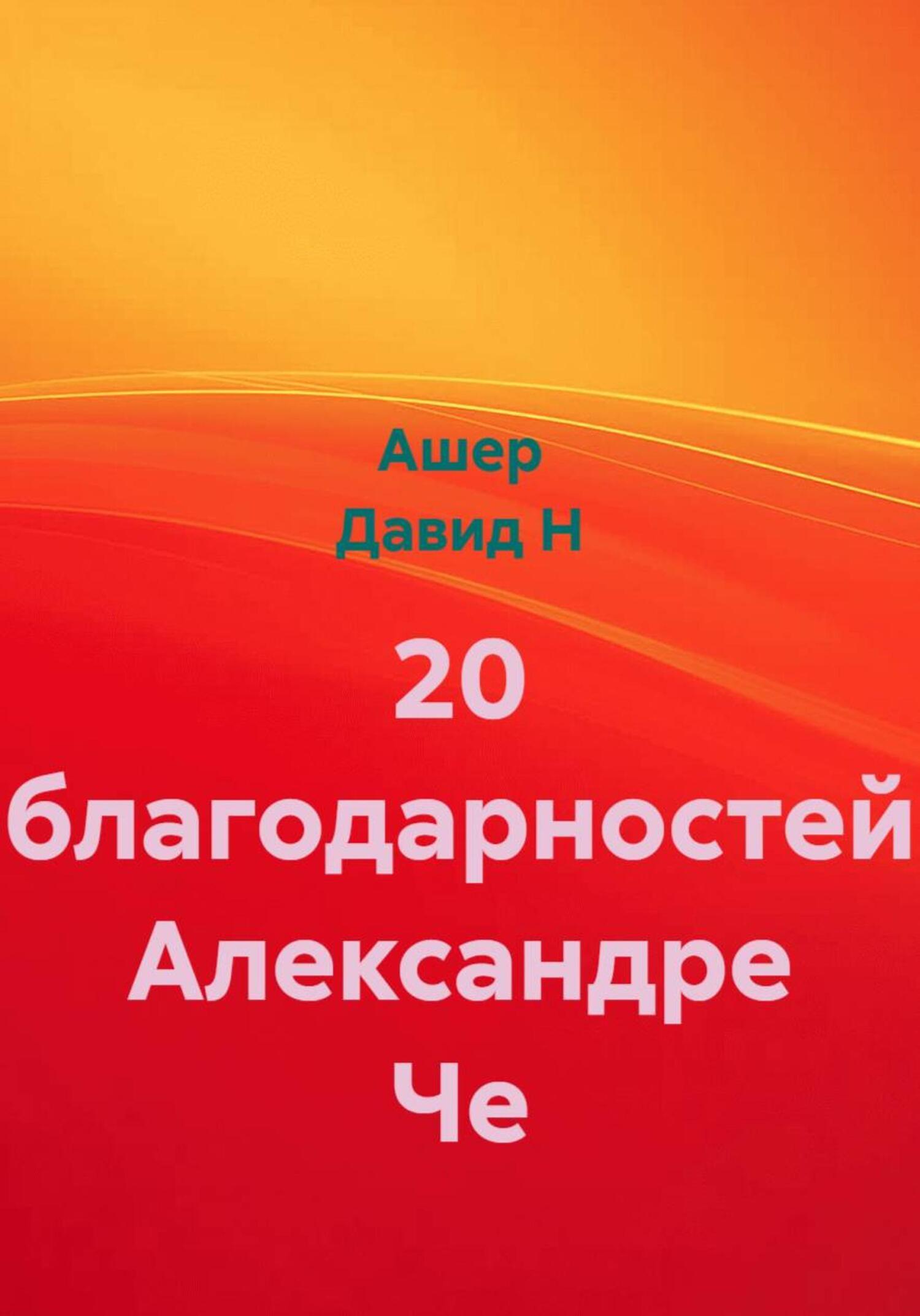 Обложка книги «20 благодарностей Александре Че»