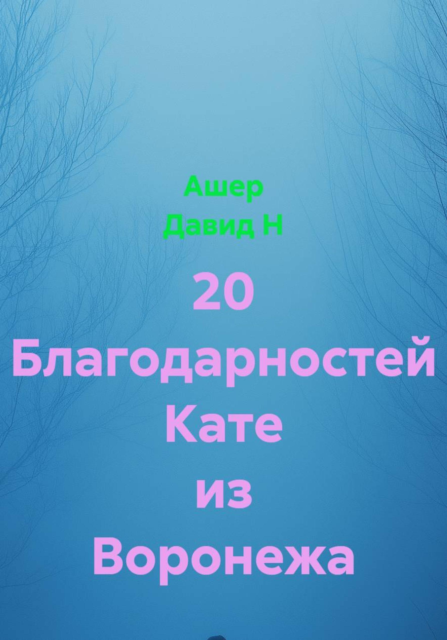 Обложка книги «20 благодарностей Кате из Воронежа»