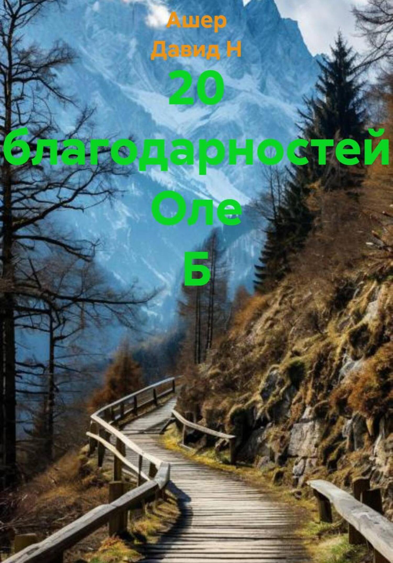 Обложка книги «20 благодарностей Оле Б»
