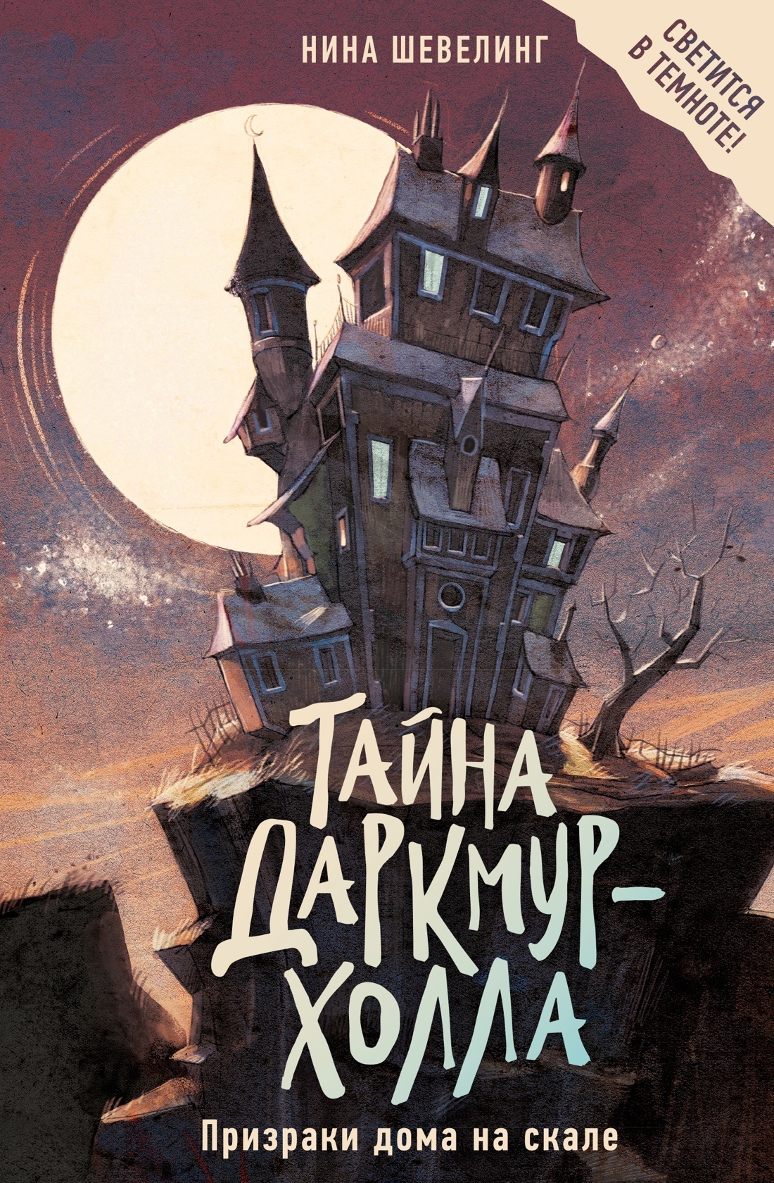Обложка книги «Тайна Даркмур-Холла. Призраки дома на скале»