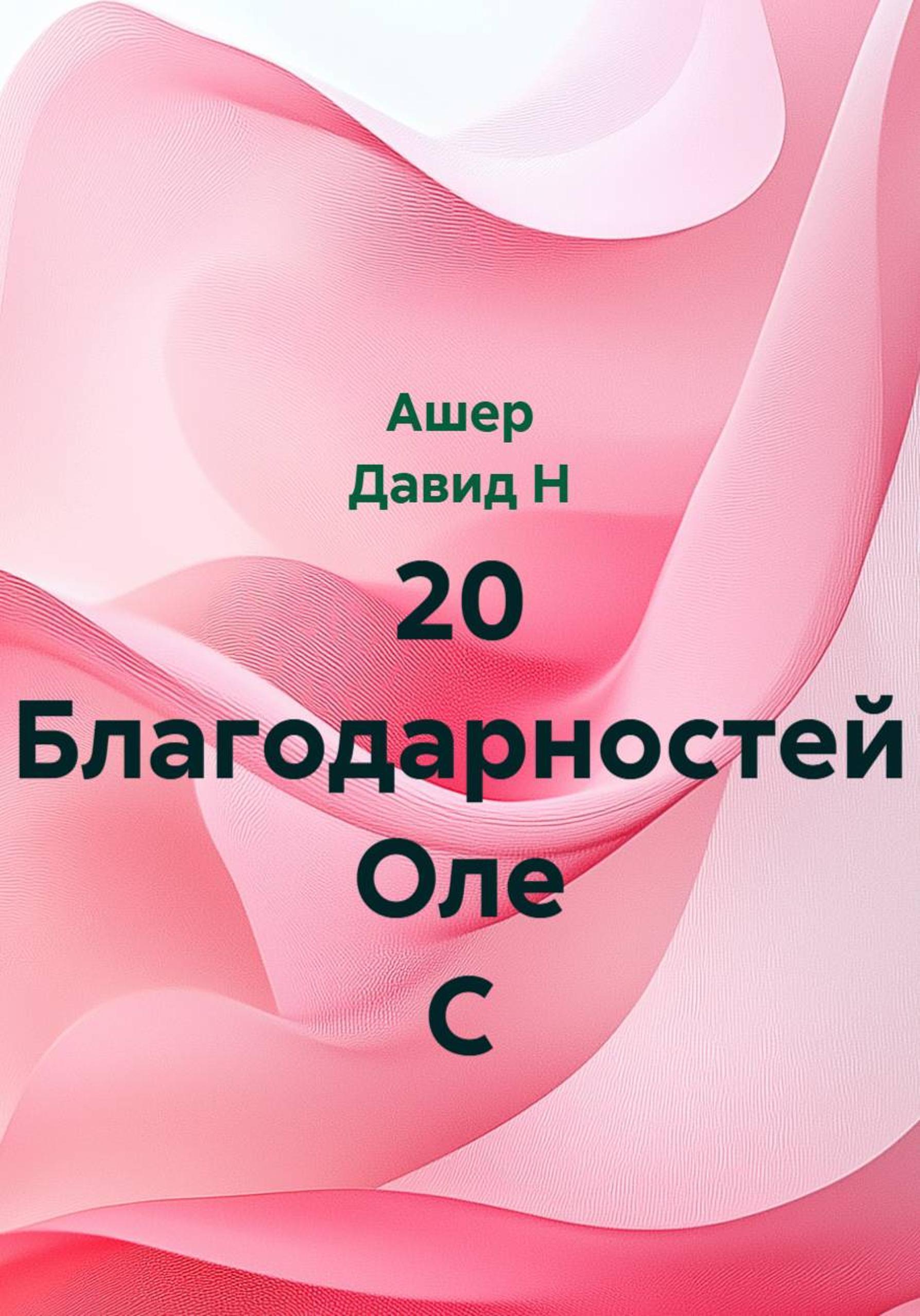 Обложка книги «20 благодарностей Оле С»
