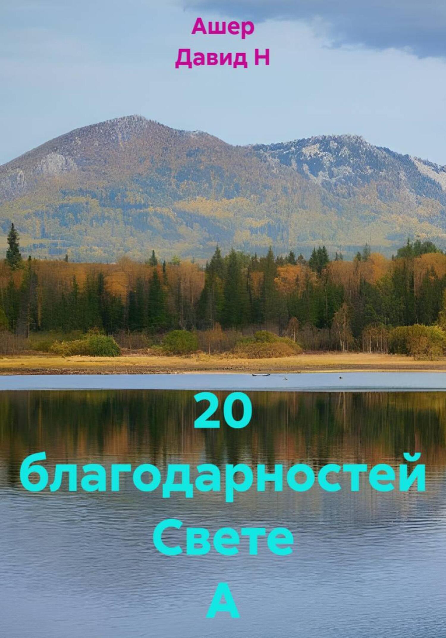 Обложка книги «20 благодарностей Свете А»