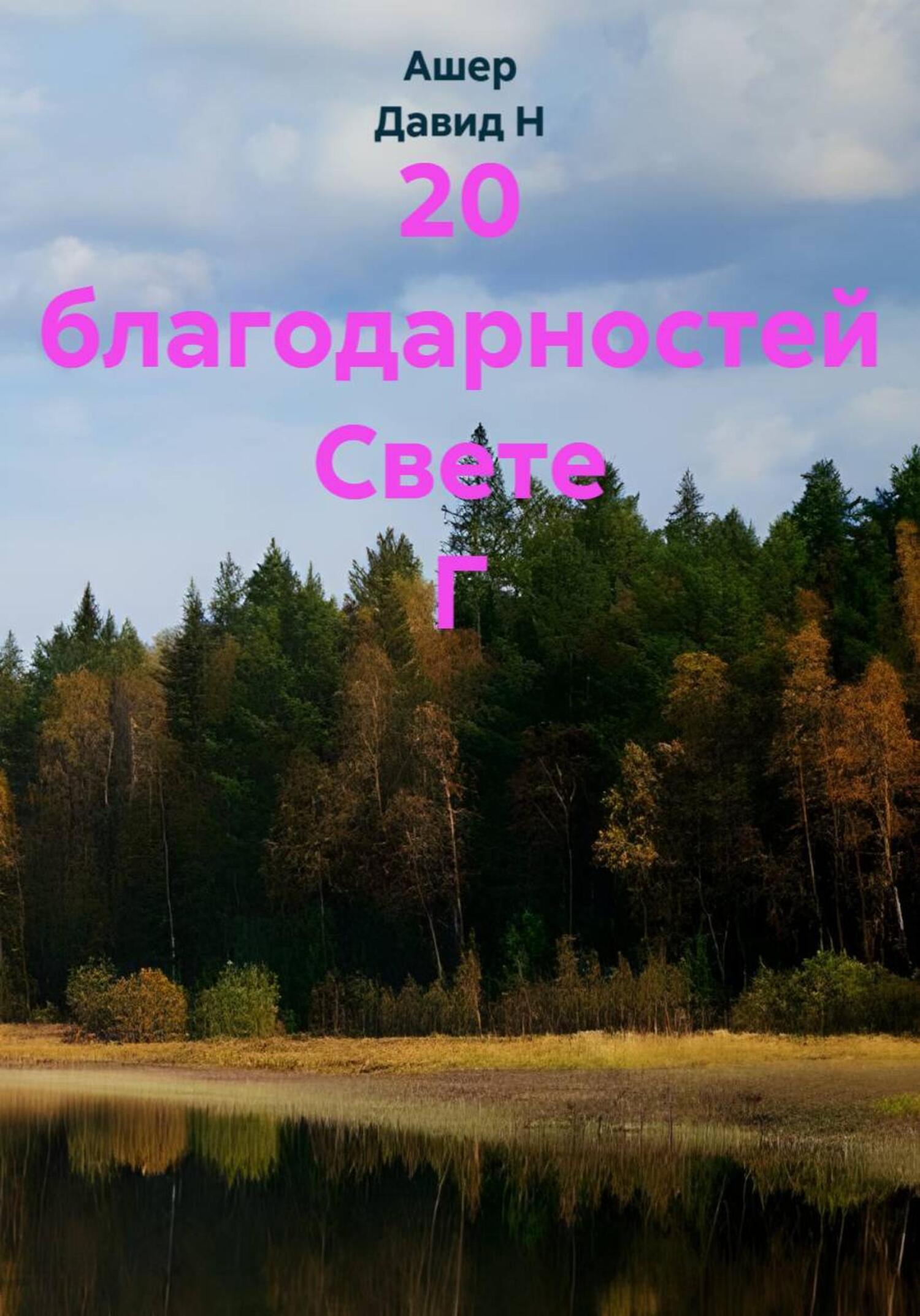 Обложка книги «20 благодарностей Свете Г»