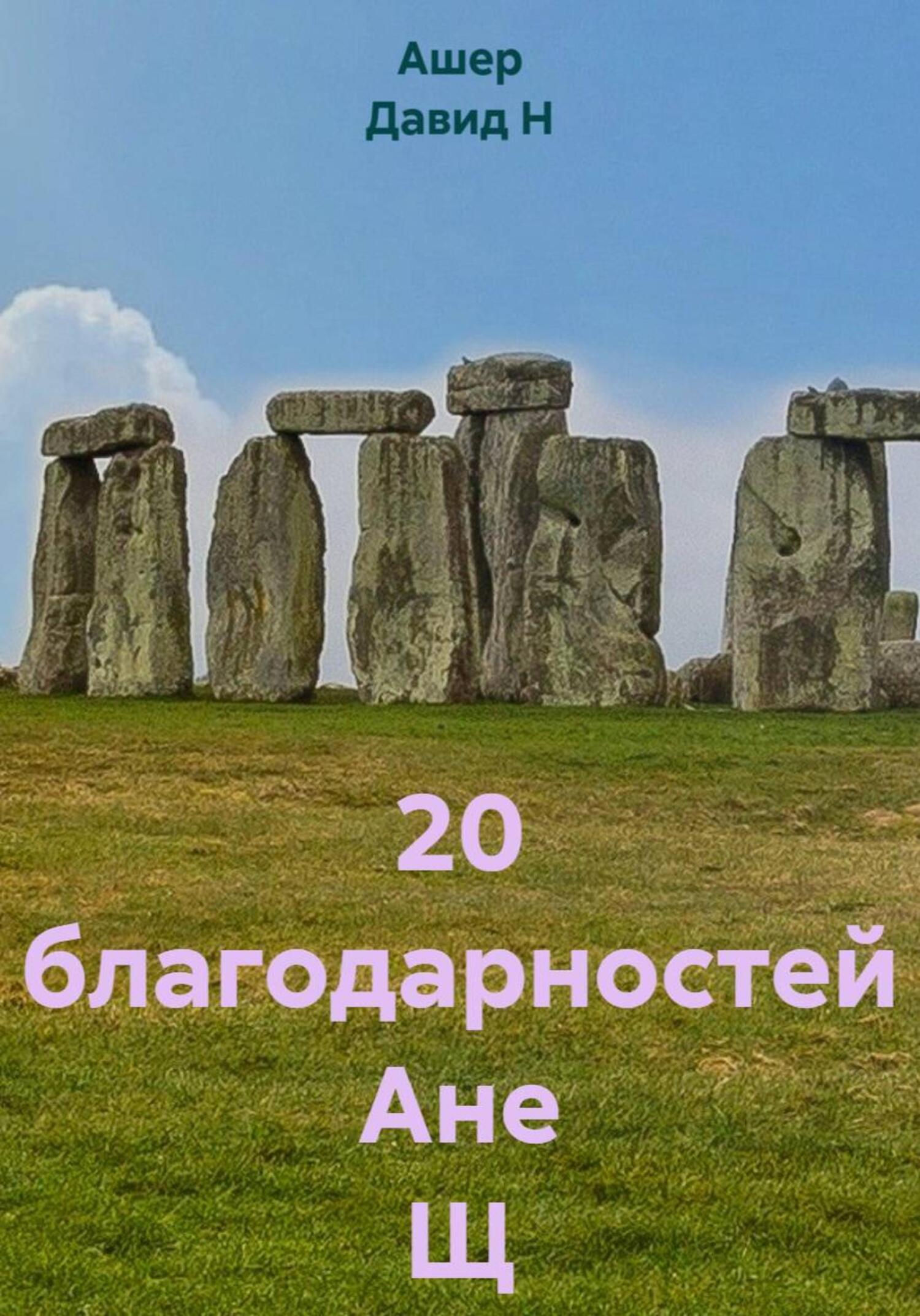 Обложка книги «20 благодарностей Ане Щ»