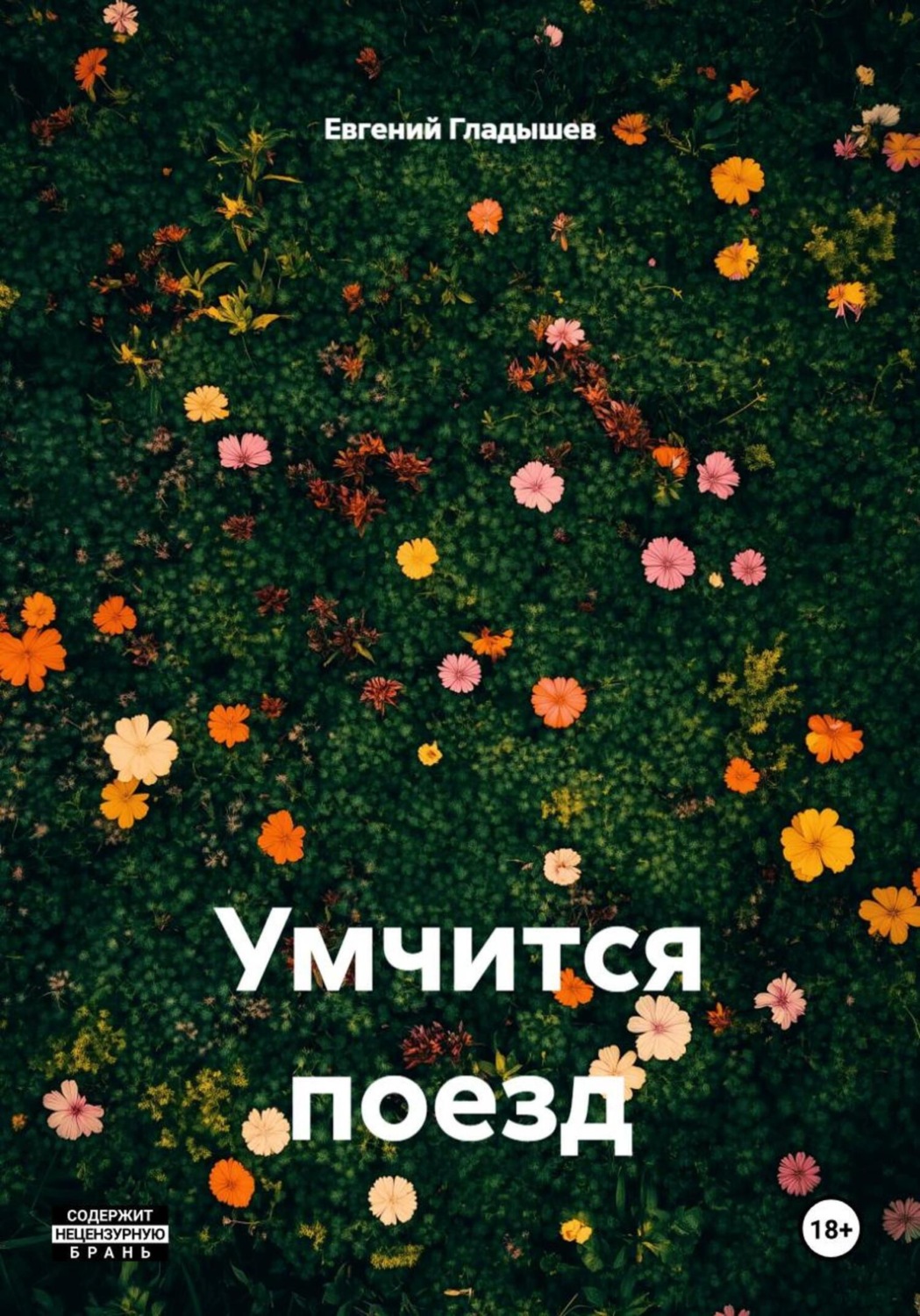 Обложка книги «Умчится поезд»