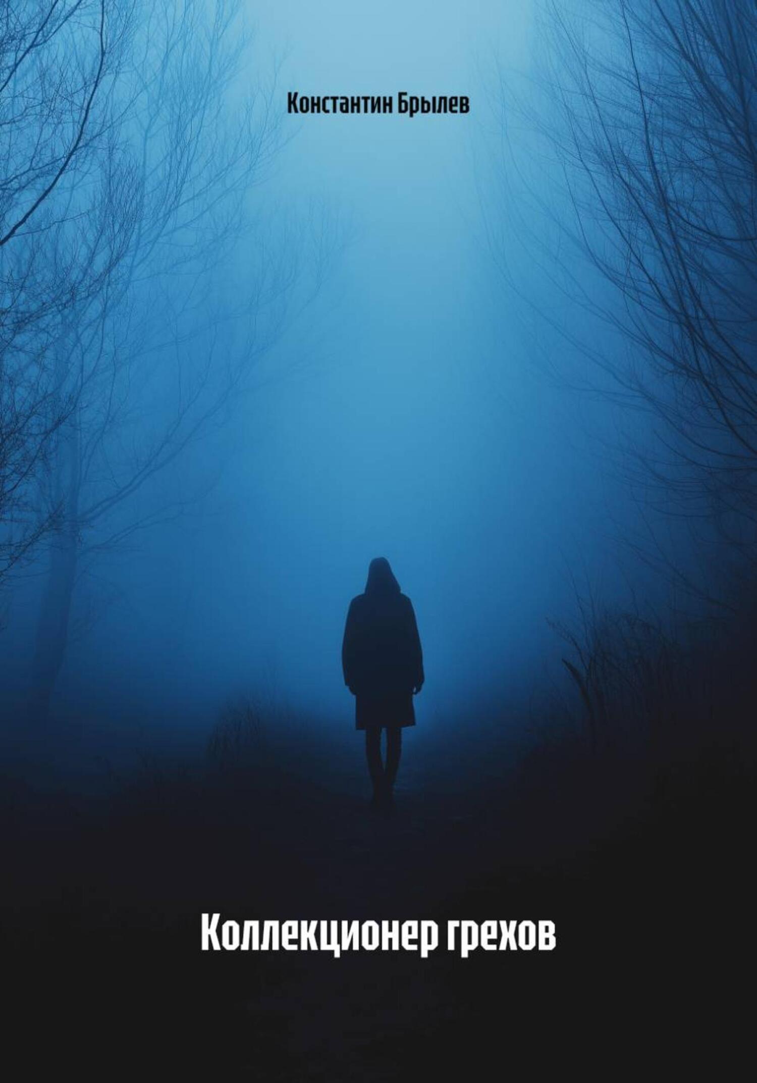 Обложка книги «Коллекционер грехов»