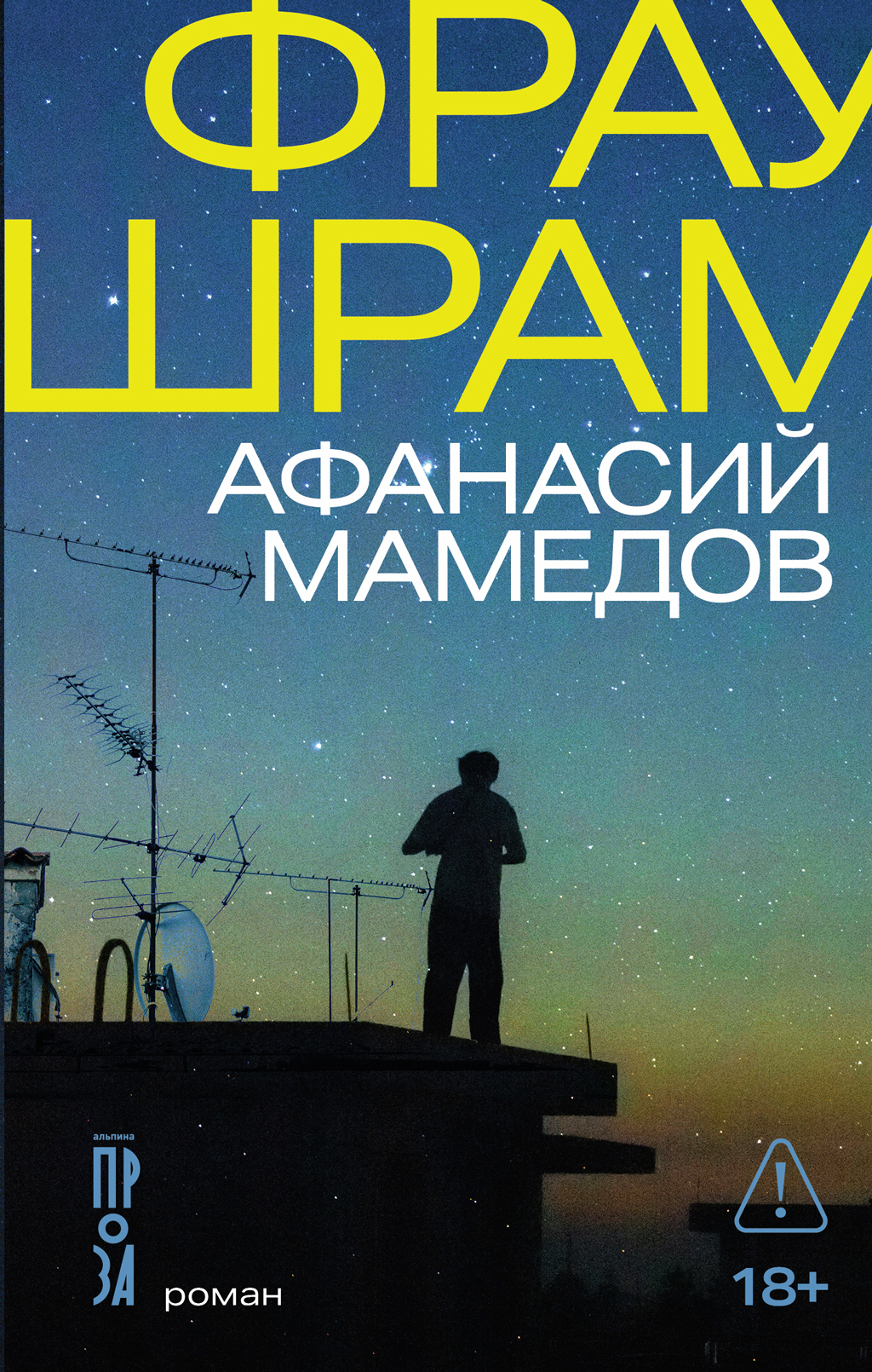 Обложка книги «Фрау Шрам»