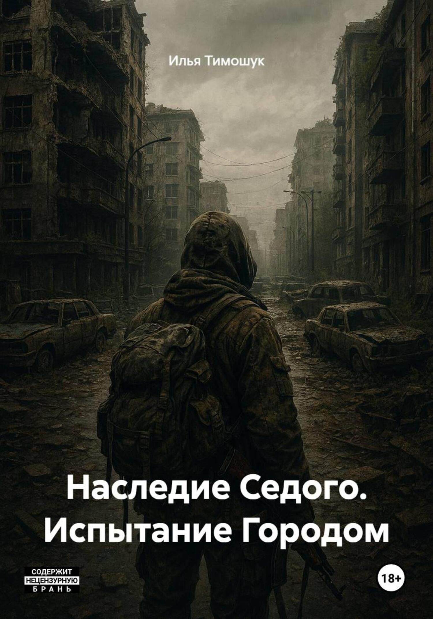 Обложка книги «Наследие Седого. Испытание Городом»