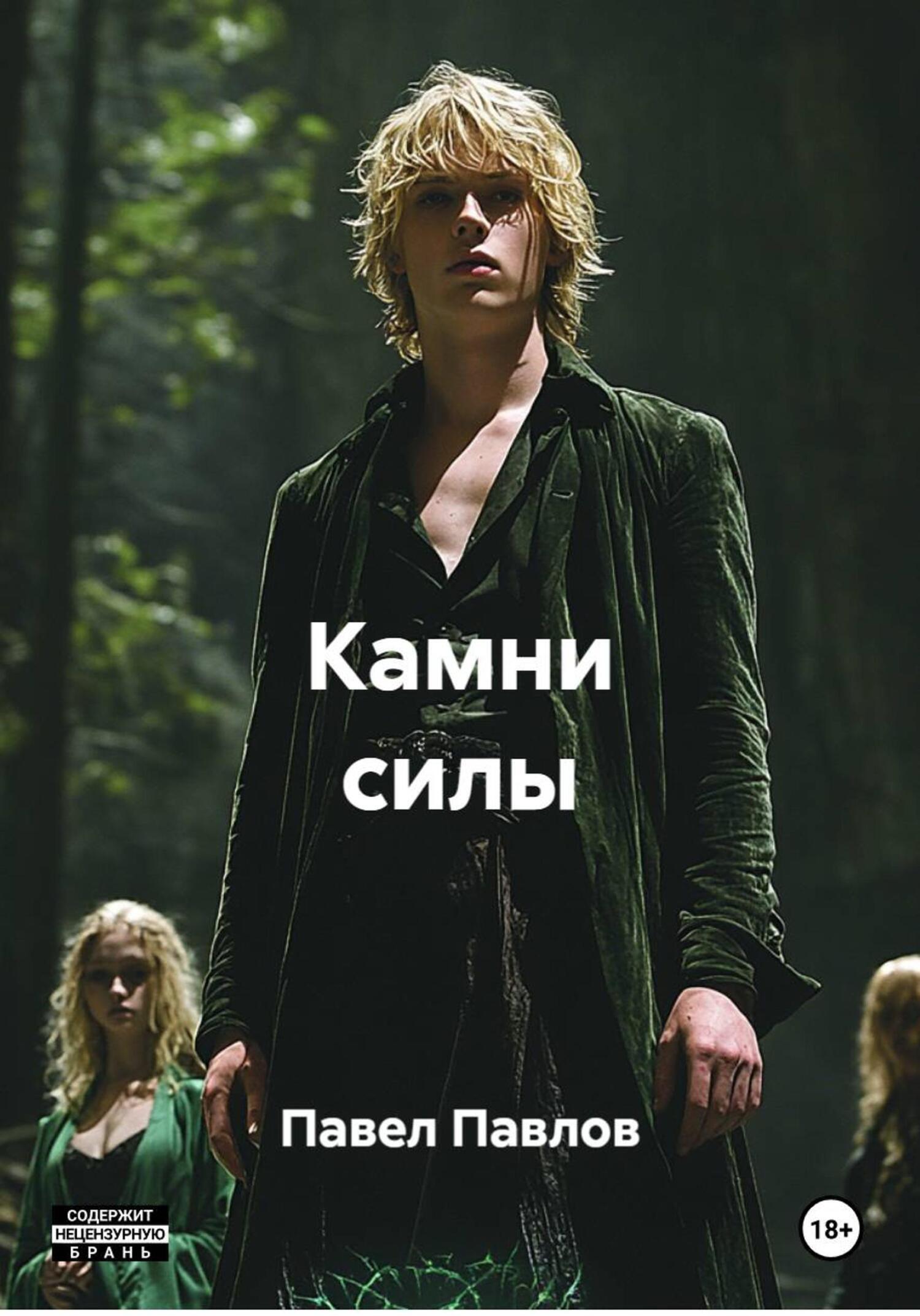 Обложка книги «Камни силы»