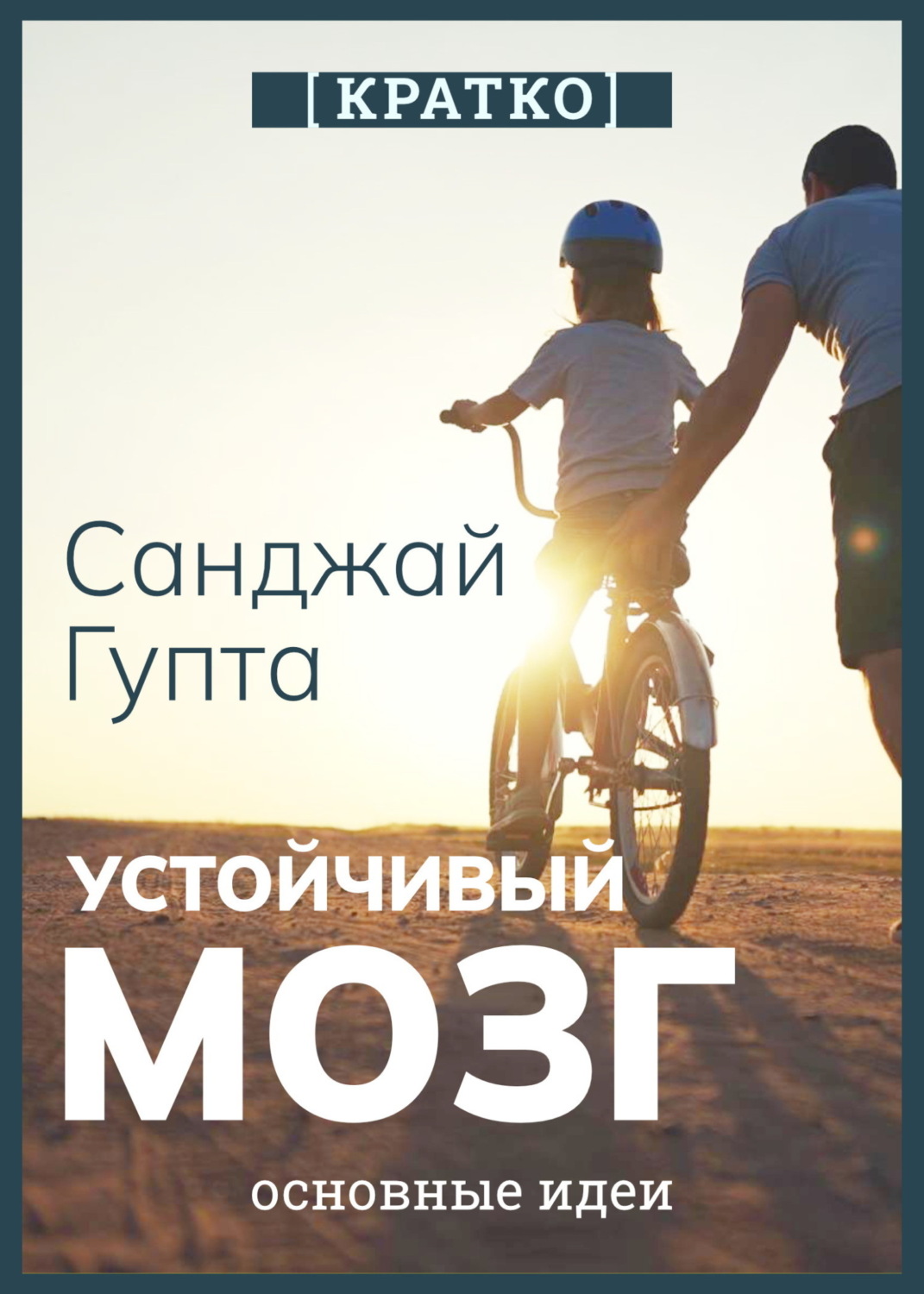 Обложка книги «Устойчивый мозг. Как сохранить мозг продуктивным в любом возрасте. Санджай Гупта. Кратко»