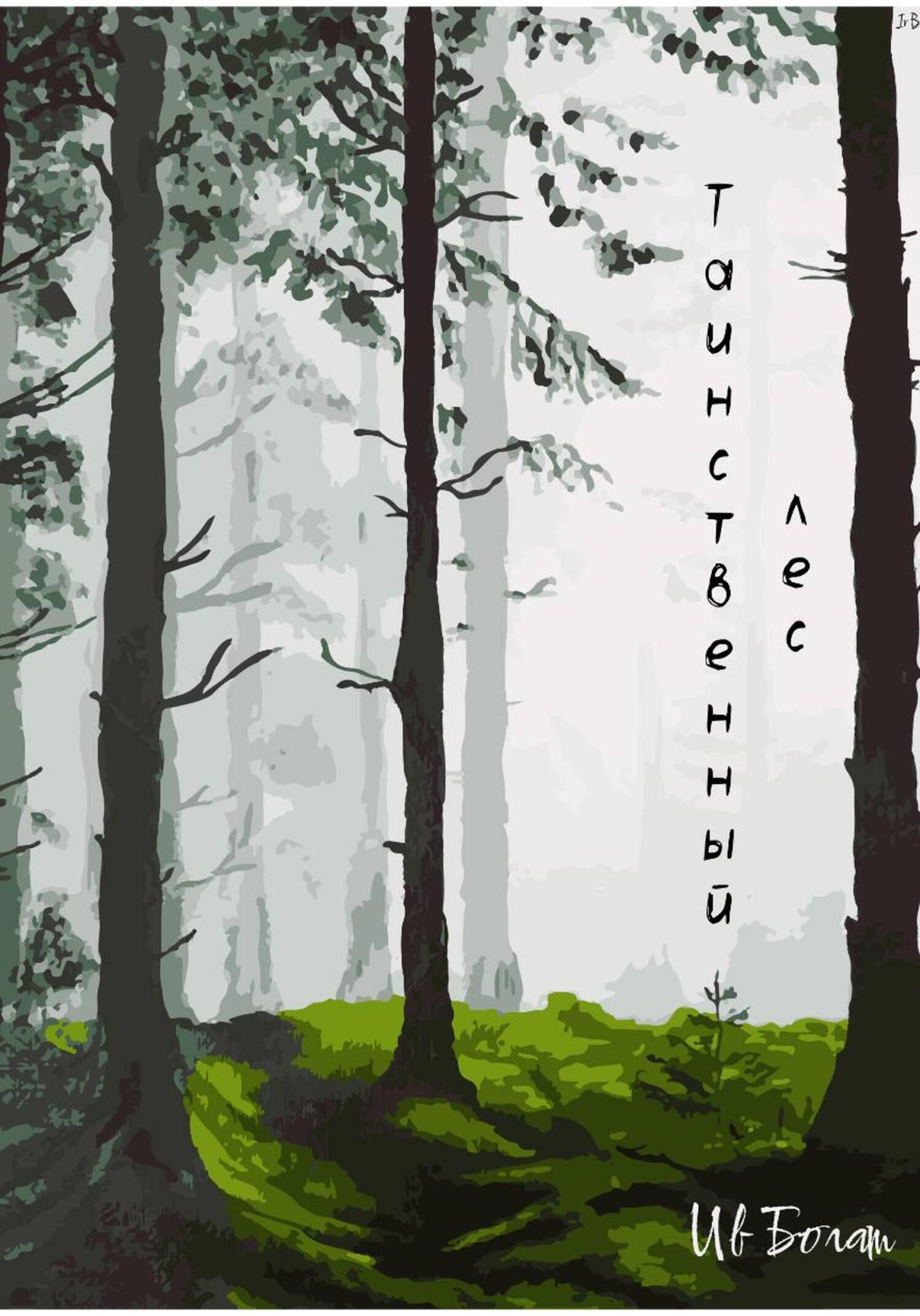 Обложка книги «Таинственный лес»