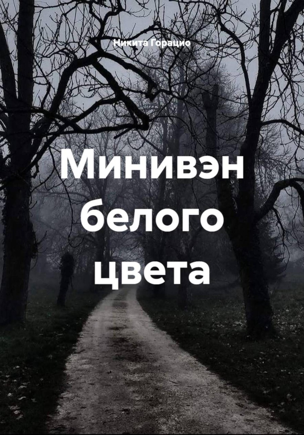 Обложка книги «Минивэн белого цвета»