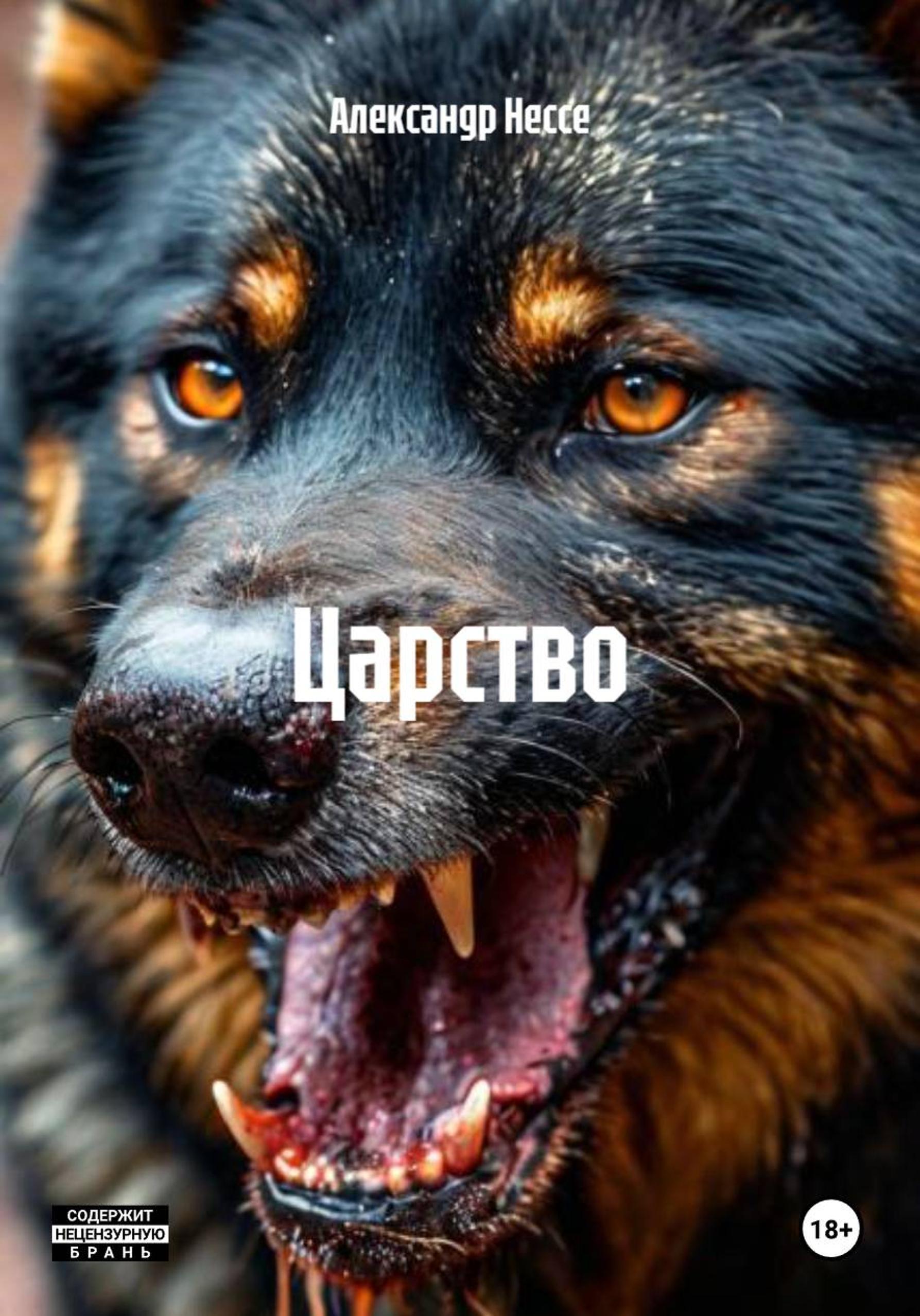 Обложка книги «Царство»