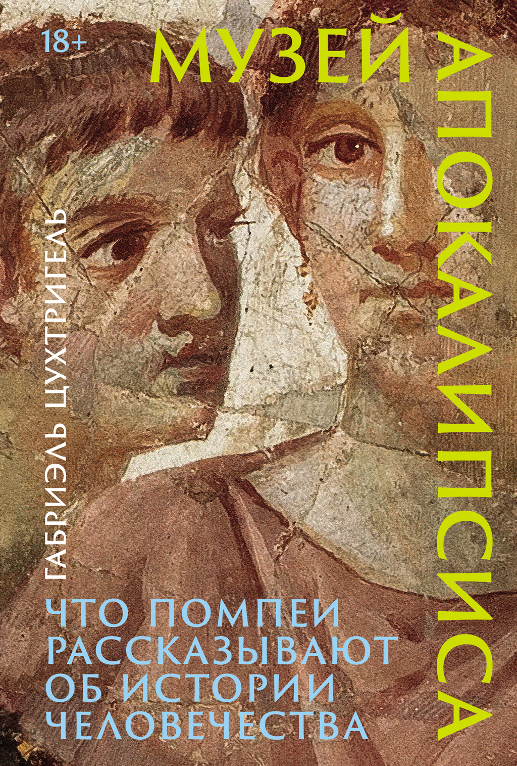 Обложка книги «Музей апокалипсиса: Что Помпеи рассказывают об истории человечества»