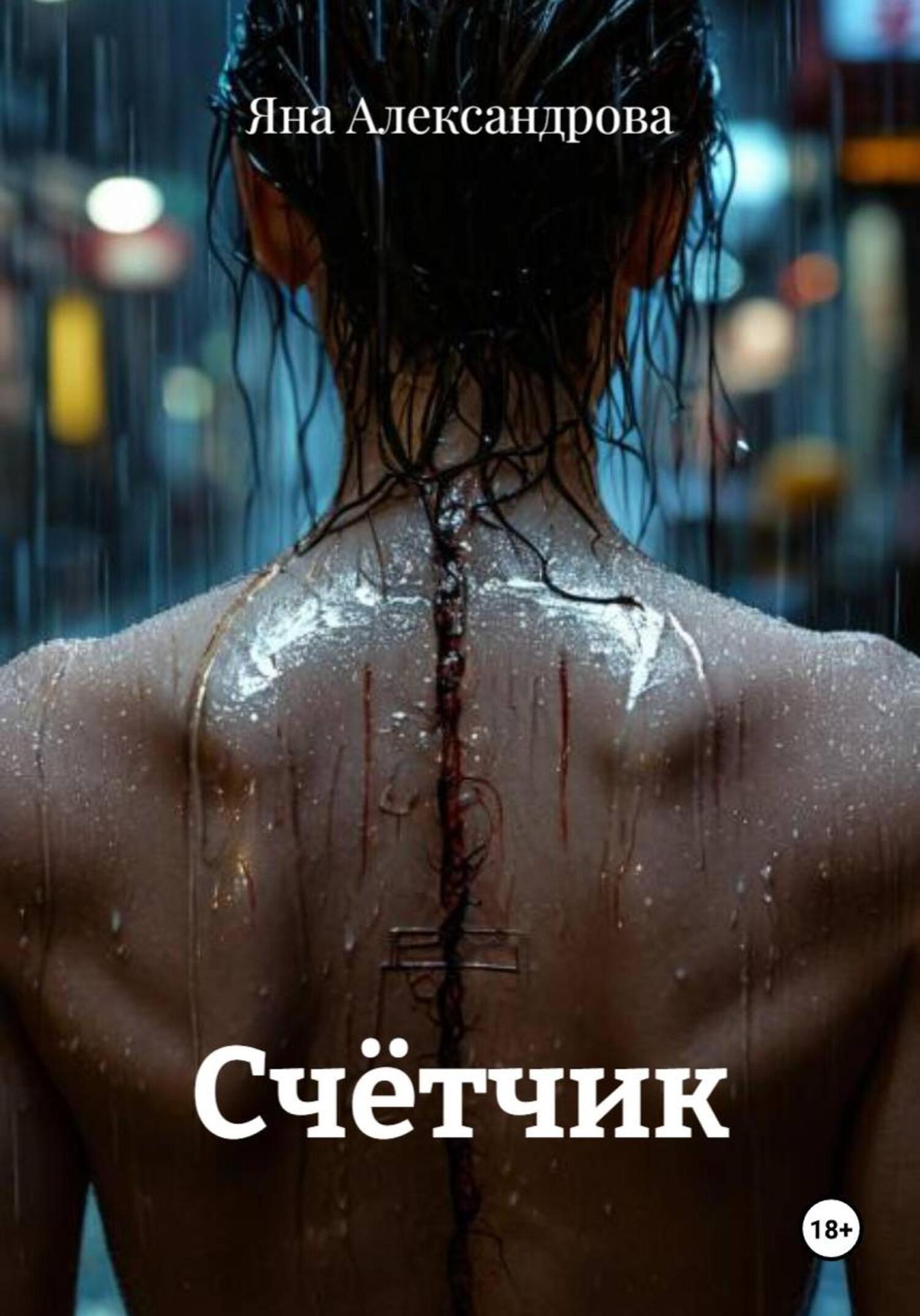 Обложка книги «Счётчик»