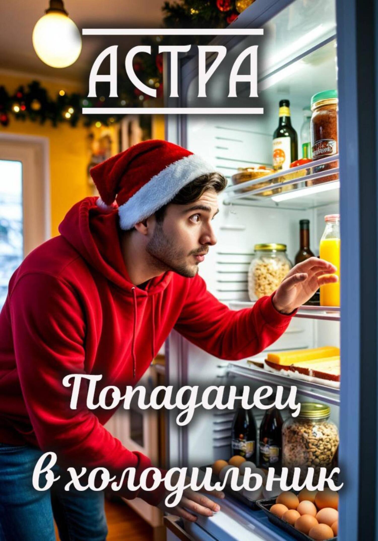 Обложка книги «Попаданец в холодильник»