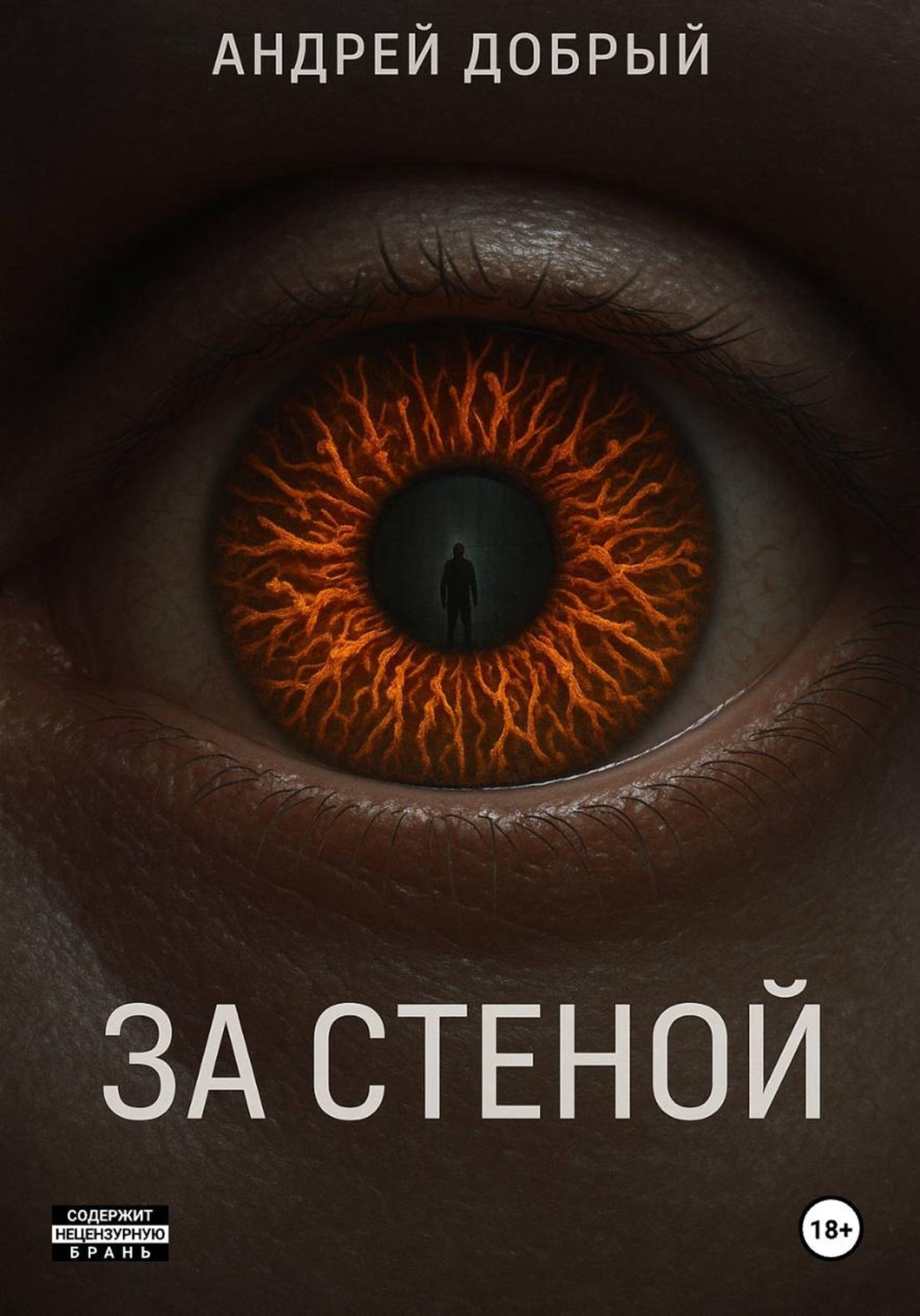 Обложка книги «За Стеной»