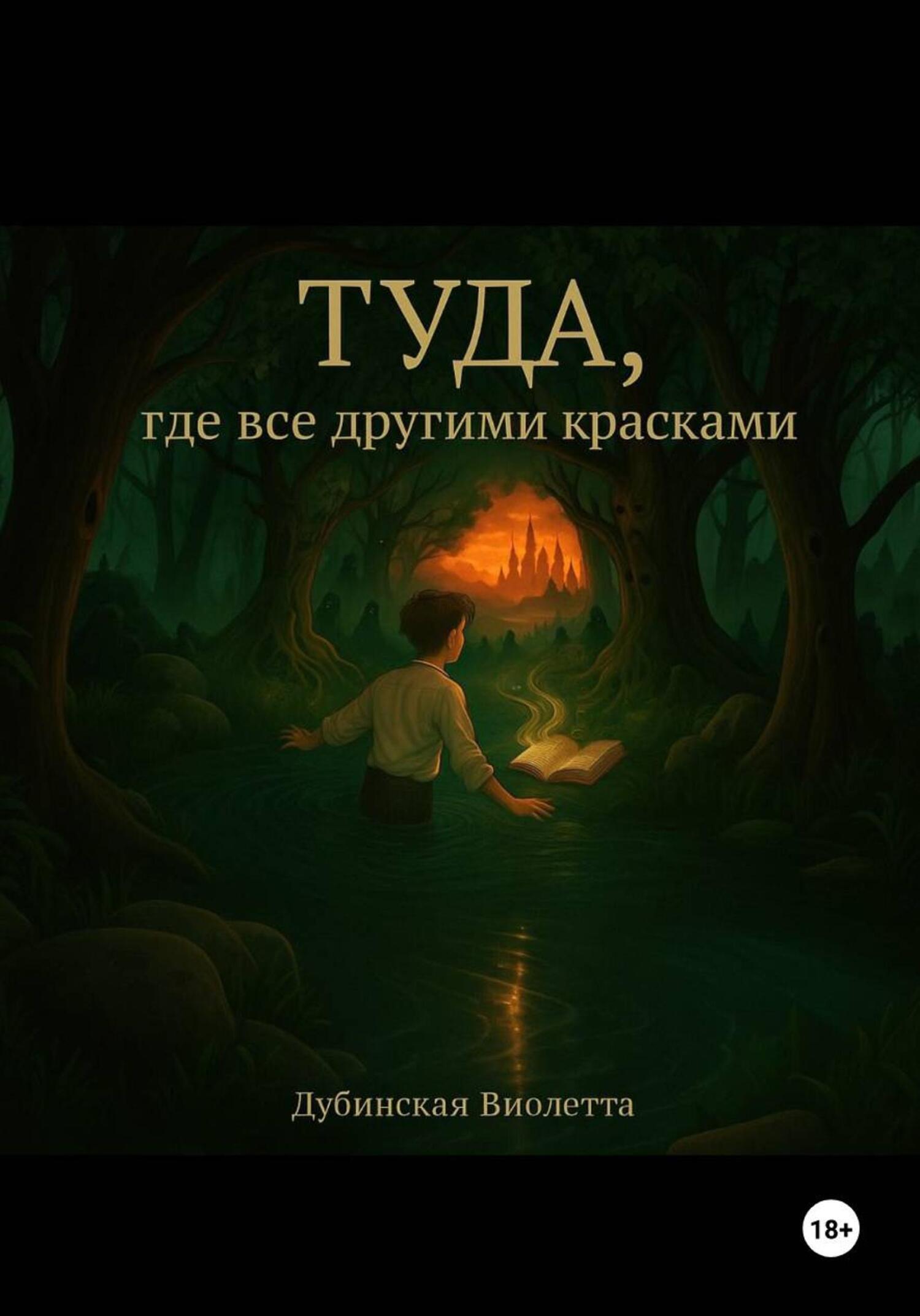 Обложка книги «Туда, где все другими красками»